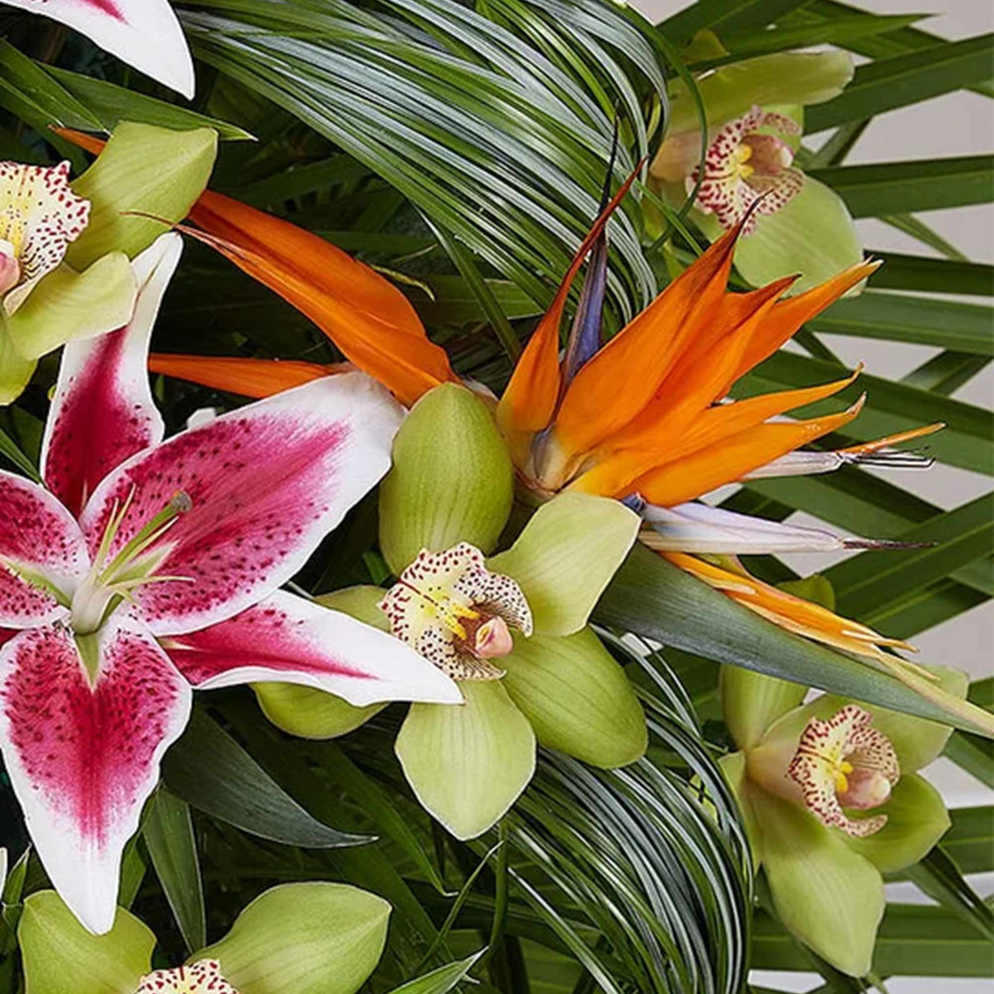 Tropical bouquet with orchids and orange bird-of-paradise flowers