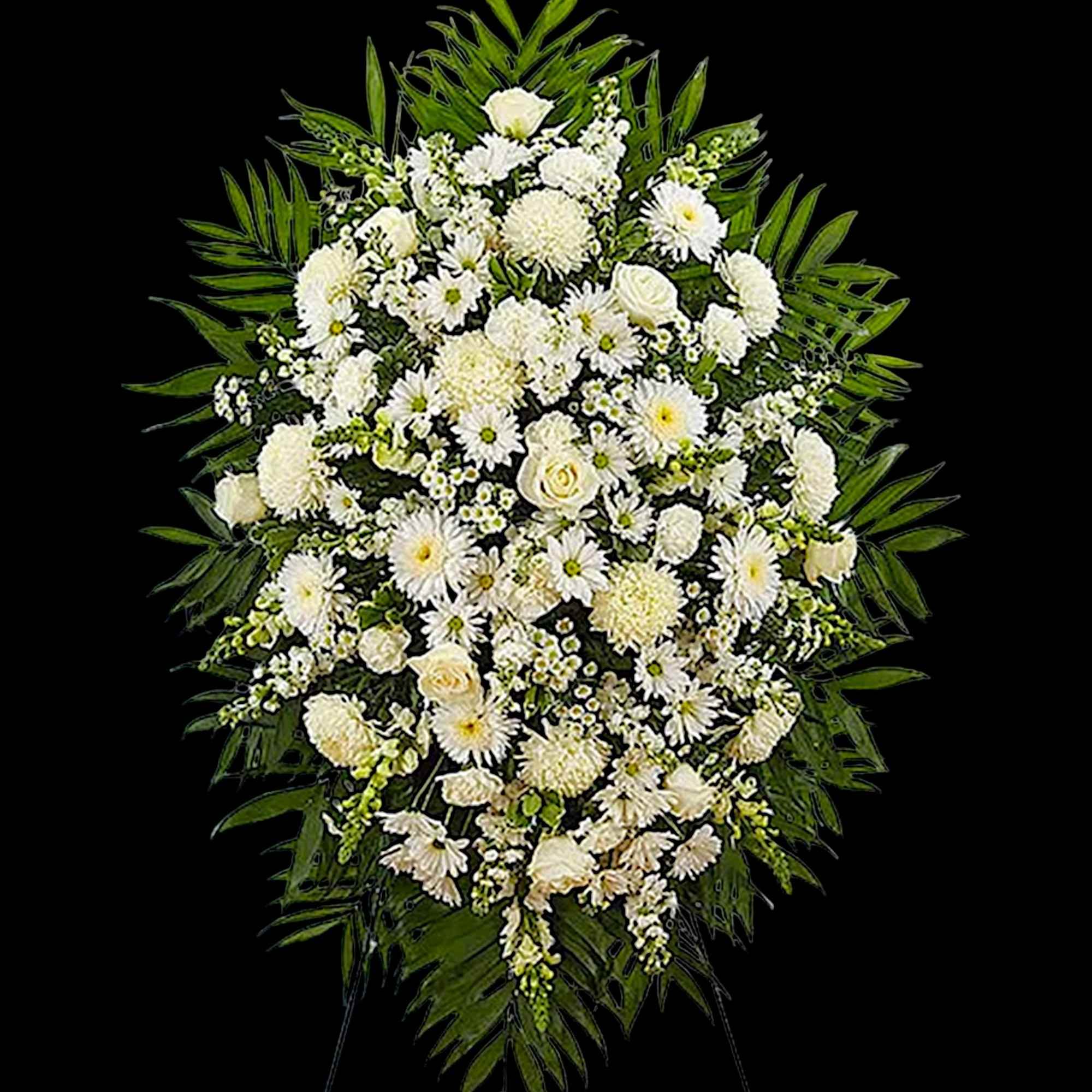White funeral spray with daisies and roses on a black background