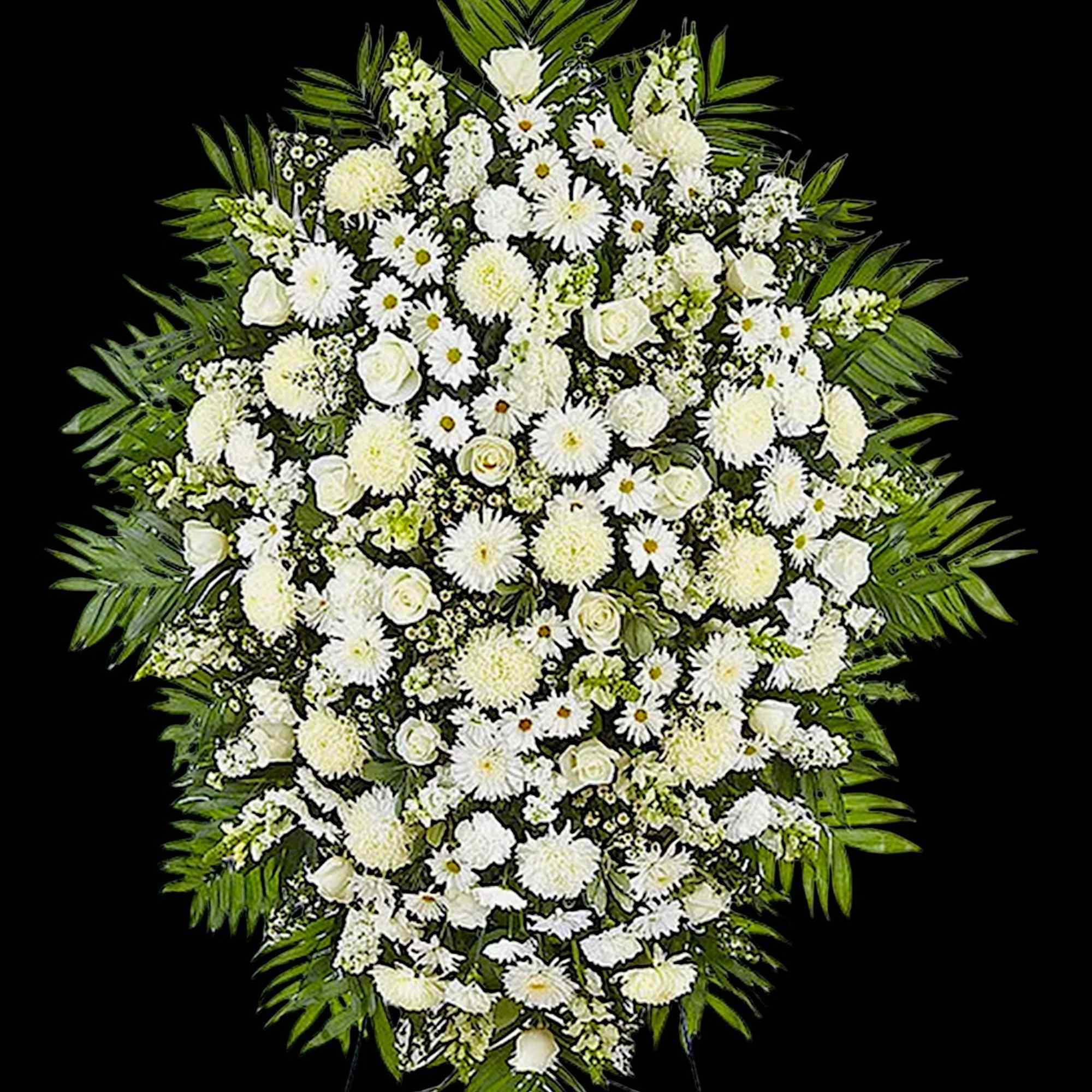 Large white funeral spray with daisies and roses on a black stand