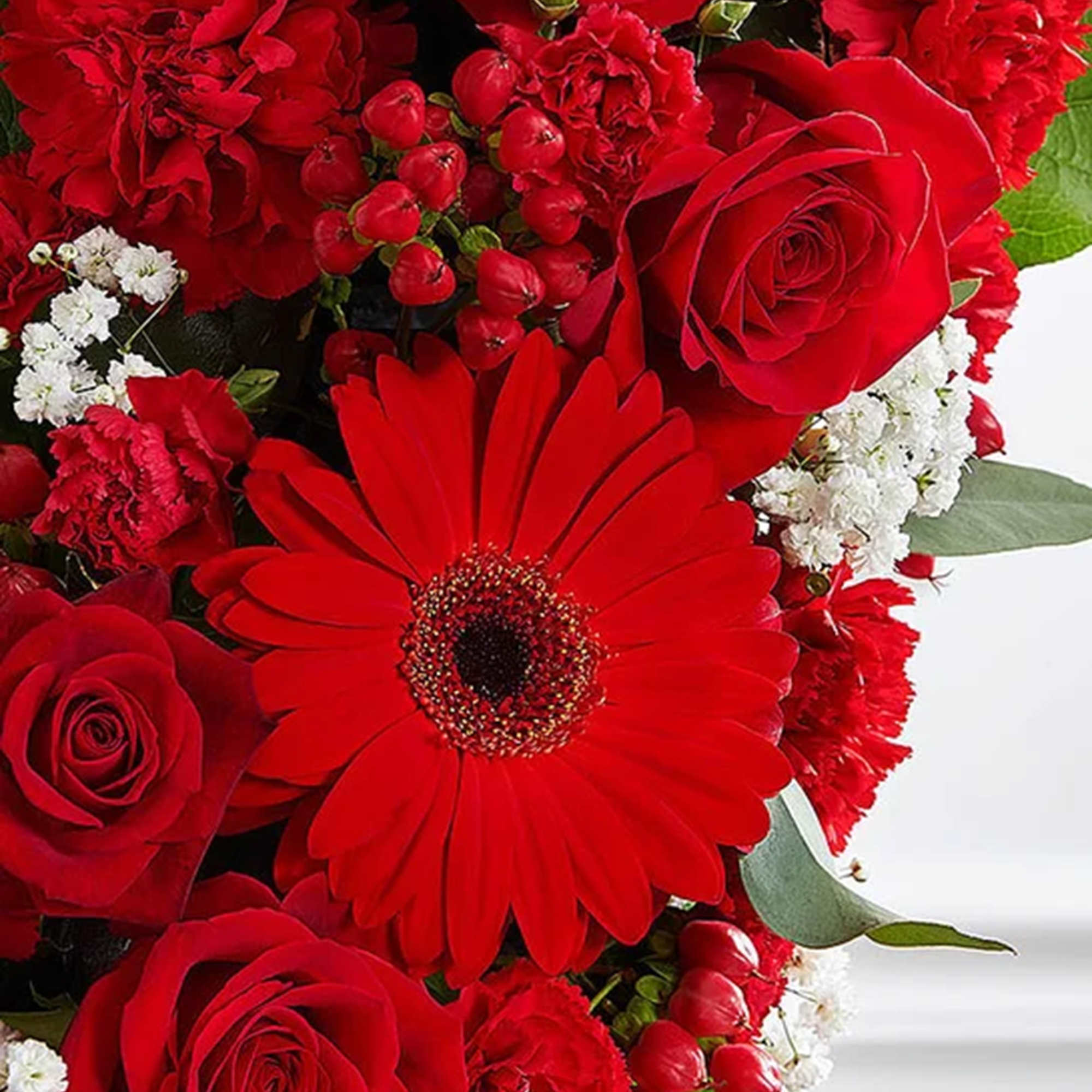 Red roses and a red gerbera daisy with white filler flowers
