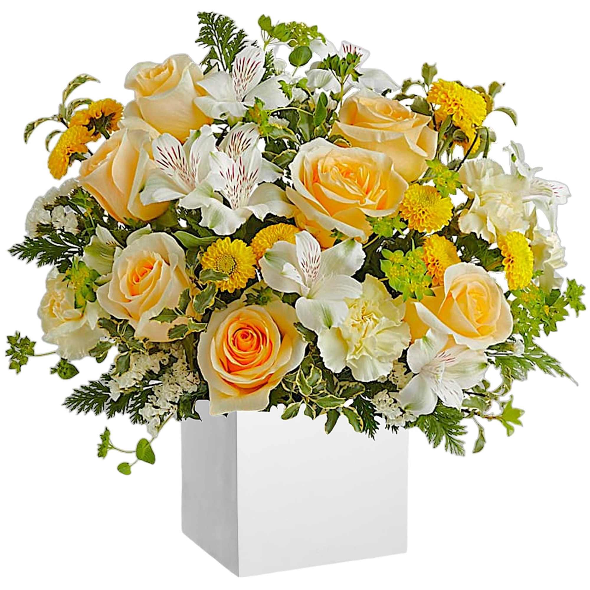 Cream roses and white flowers in a white square vase