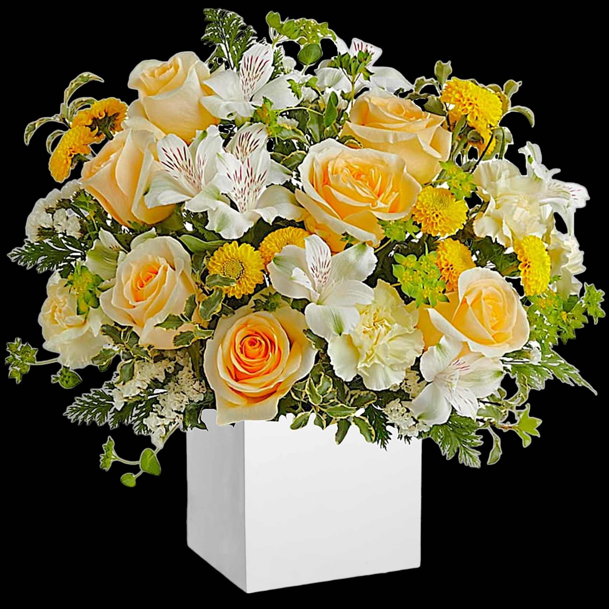 Bouquet of cream roses, white lilies, and yellow mums in a white box