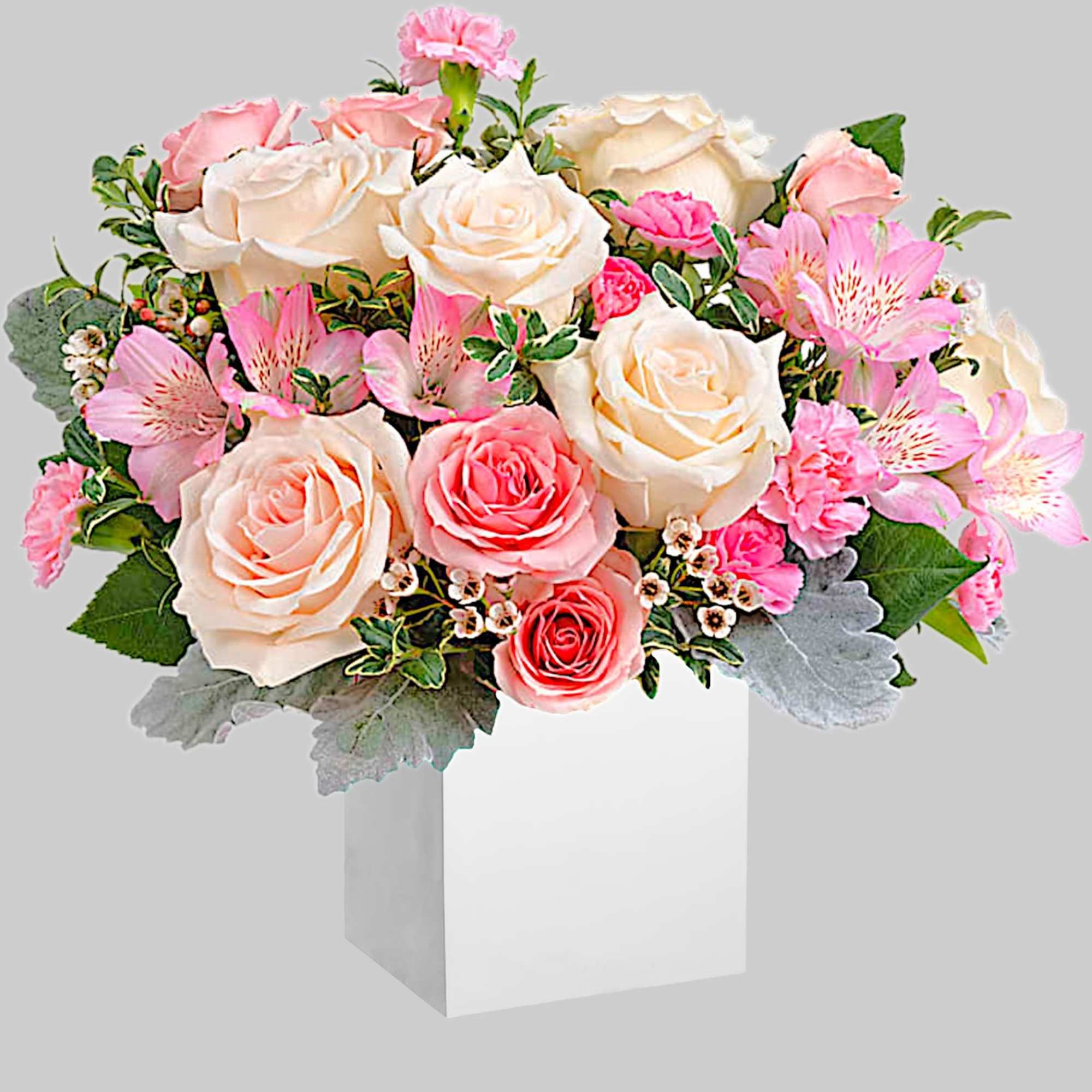 Pink and cream rose bouquet with alstroemeria in a white box