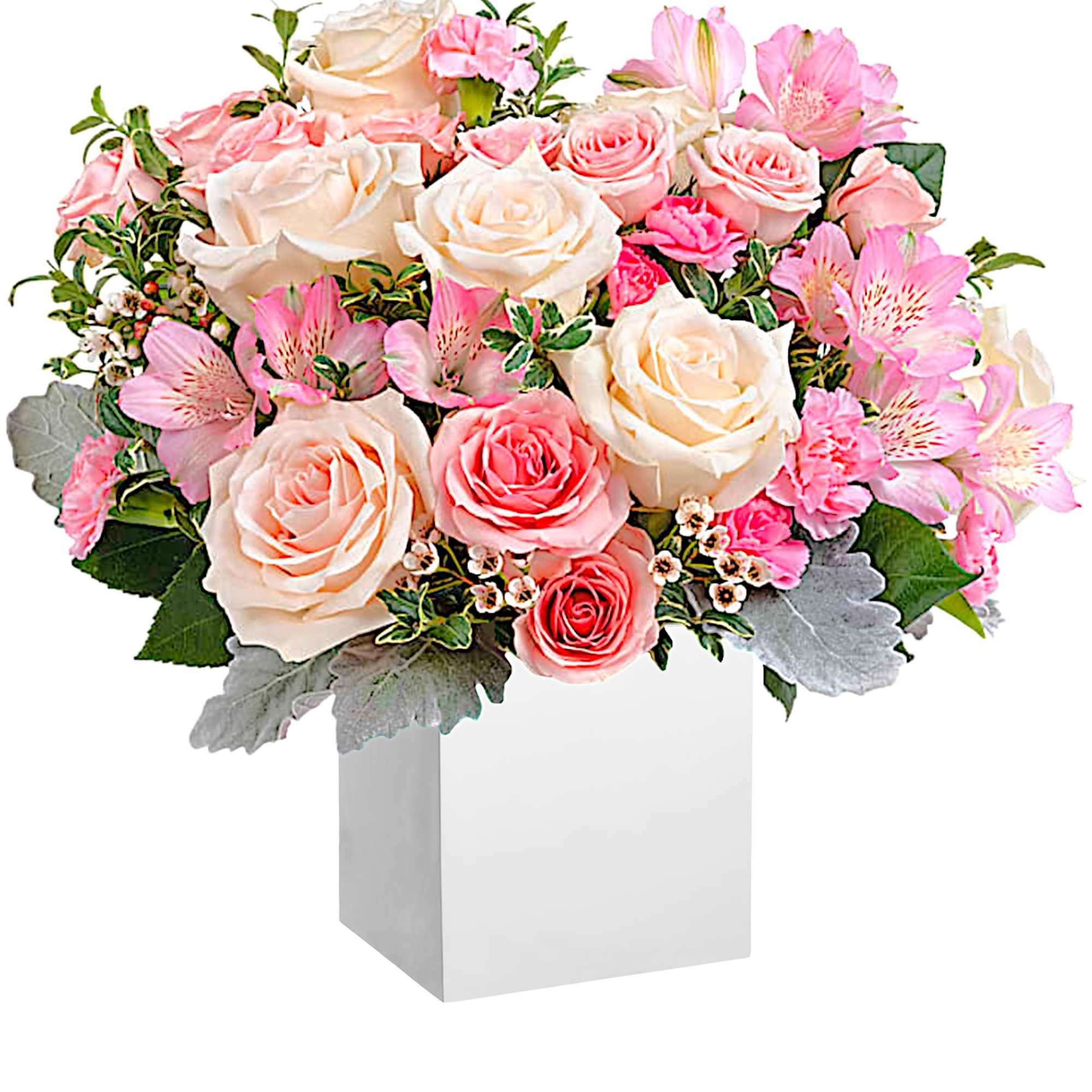 Pink and cream roses with alstroemeria in a white box vase
