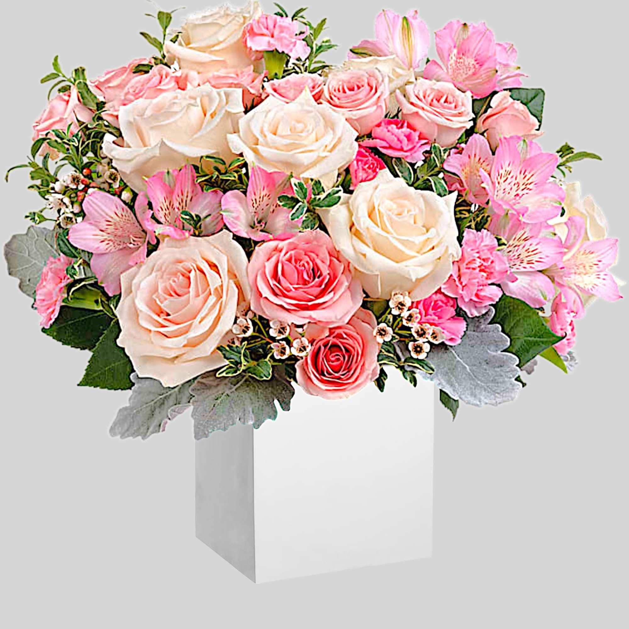 Pink and white rose bouquet in a white box