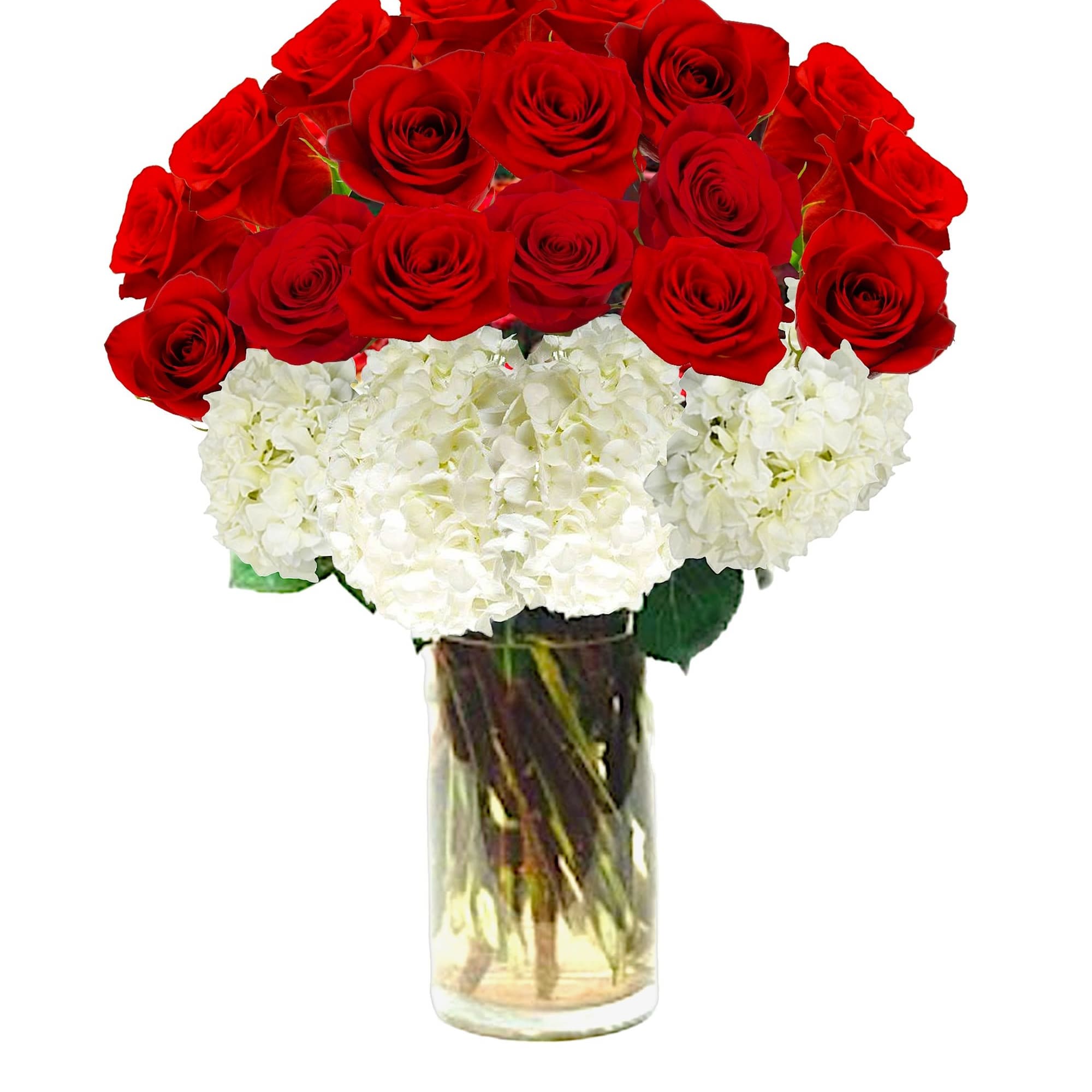 Red roses and white hydrangeas arranged in a clear glass vase