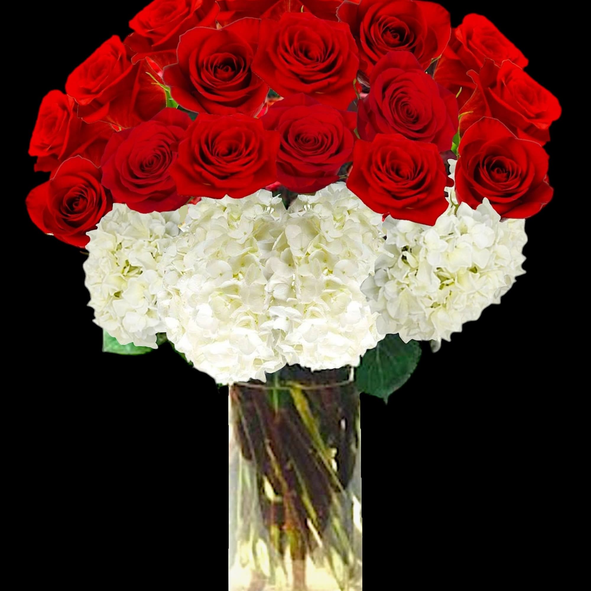 Red roses and white hydrangeas arranged in a clear glass vase.