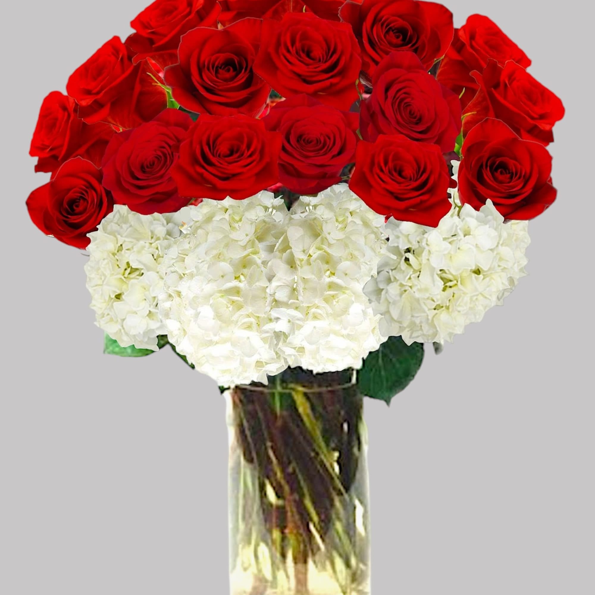 Red roses above white hydrangeas in a clear glass vase
