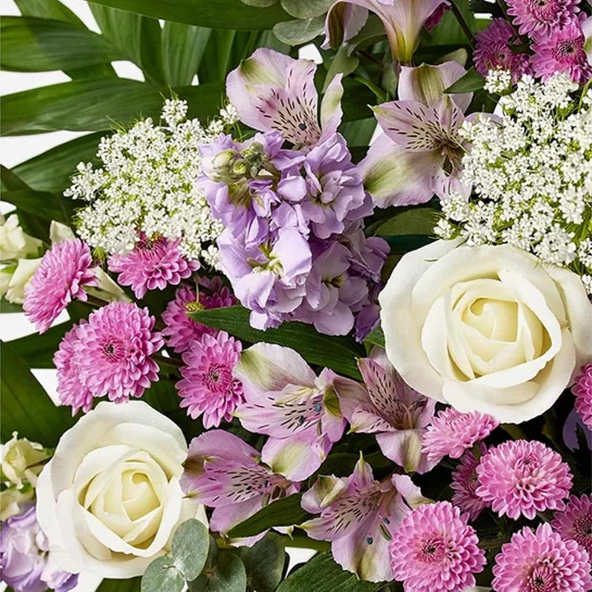 Bouquet of white roses, pink daisies, and lavender flowers