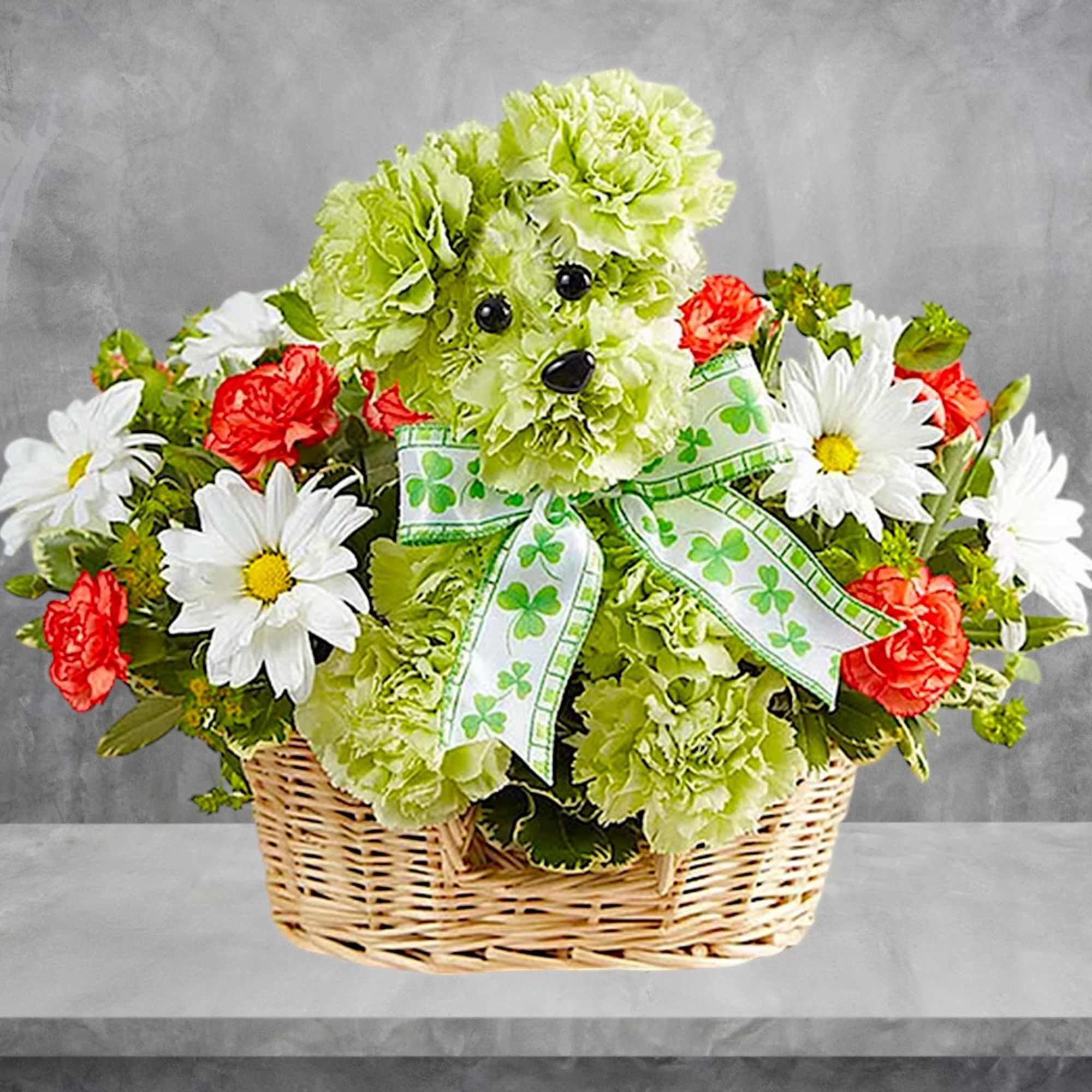 Basket arrangement with green carnations, white daisies, and red carnations
