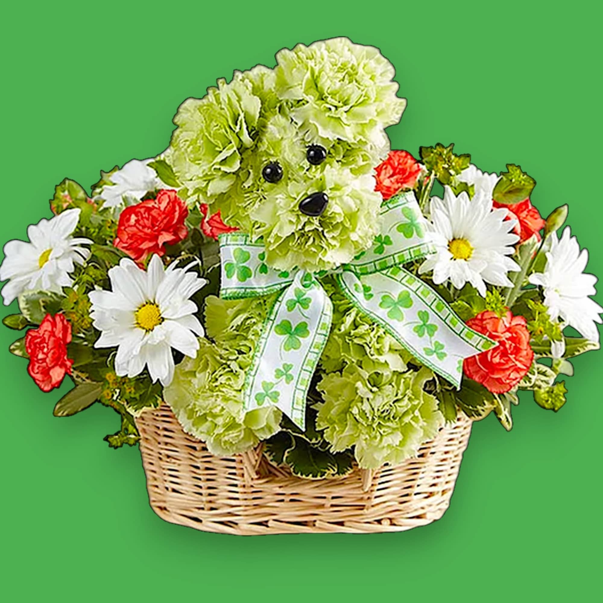 Basket arrangement with green carnations, daisies, and a shamrock ribbon
