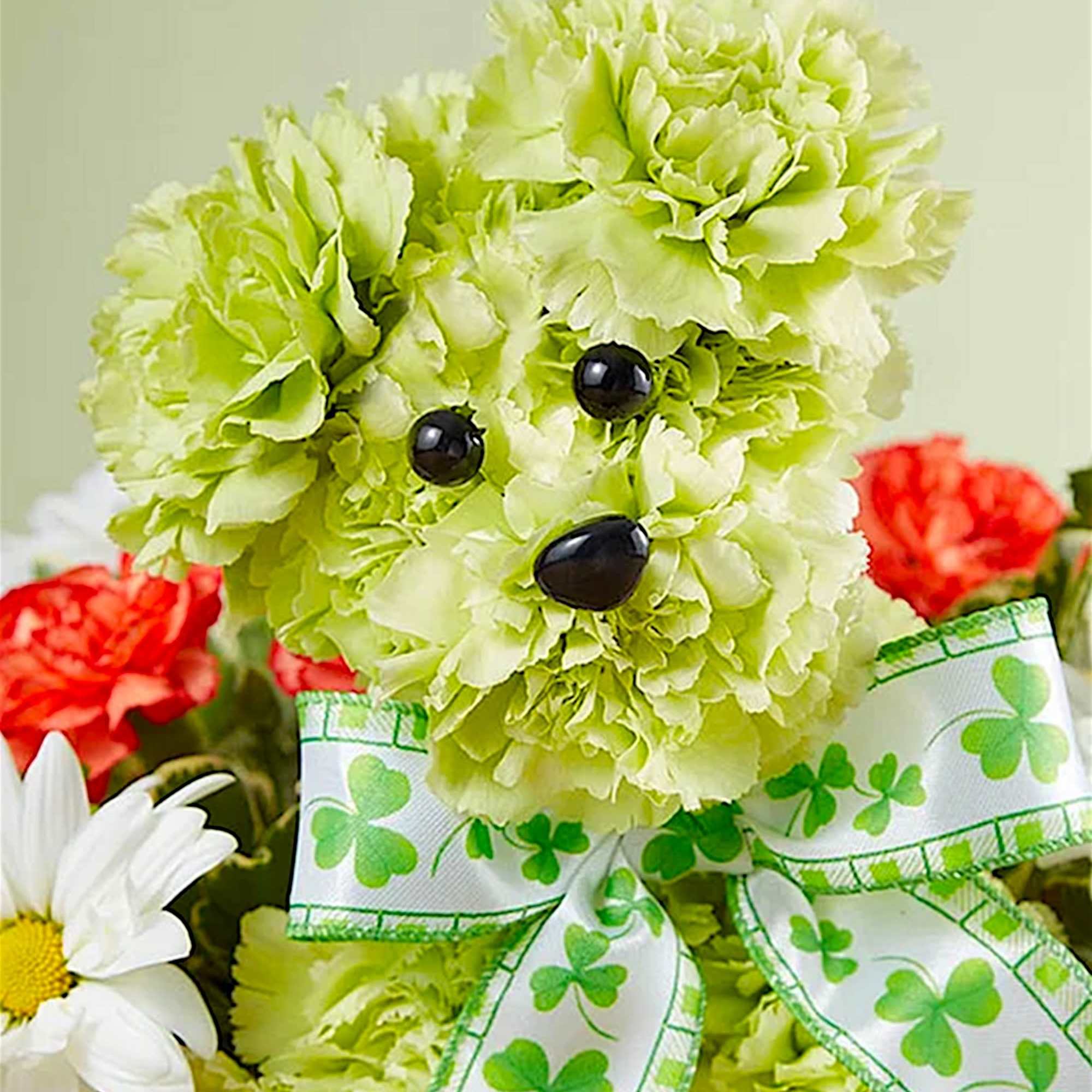 Green carnation teddy bear with a shamrock ribbon and black eyes