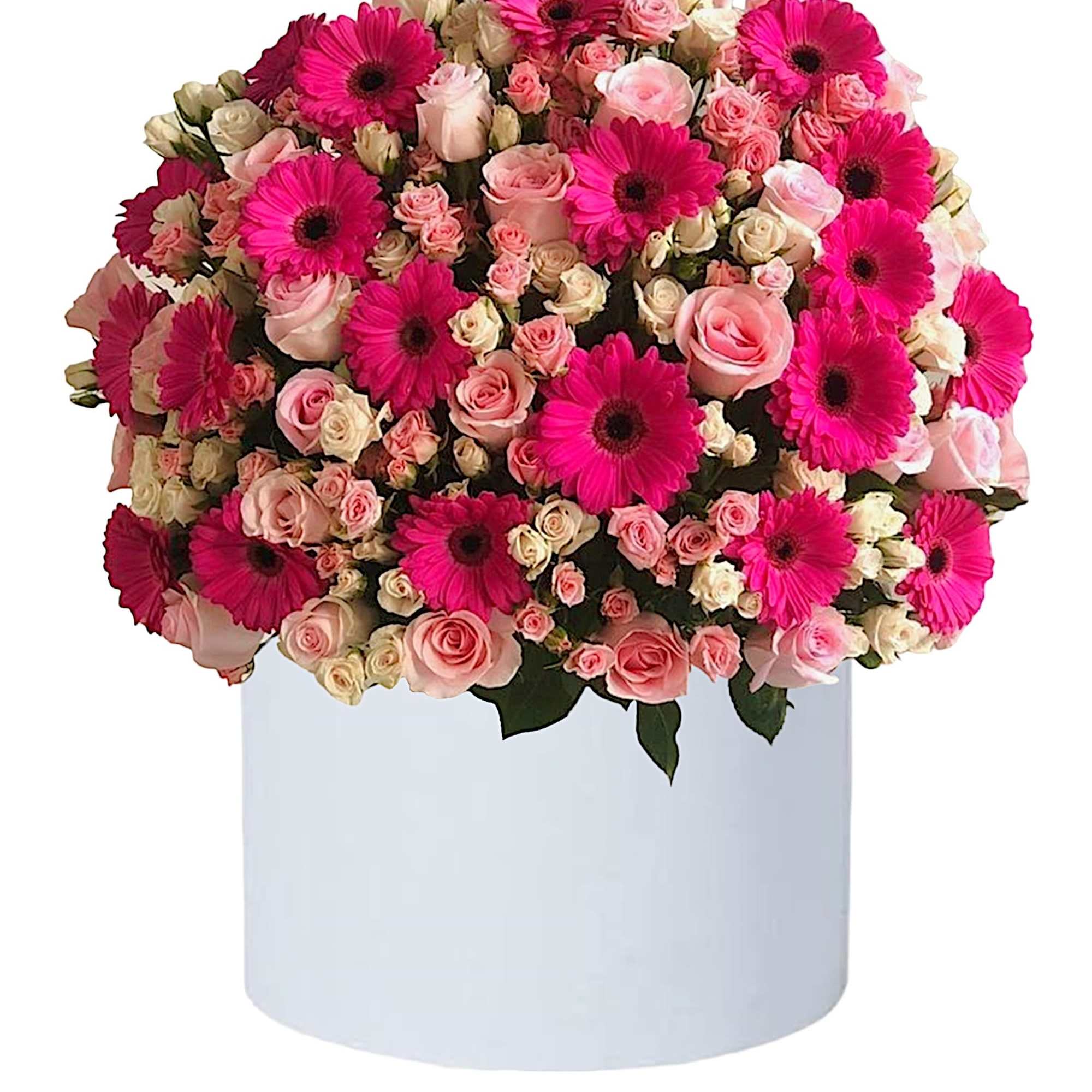 Red roses are beautifully arranged in a white cylinder box. Have them