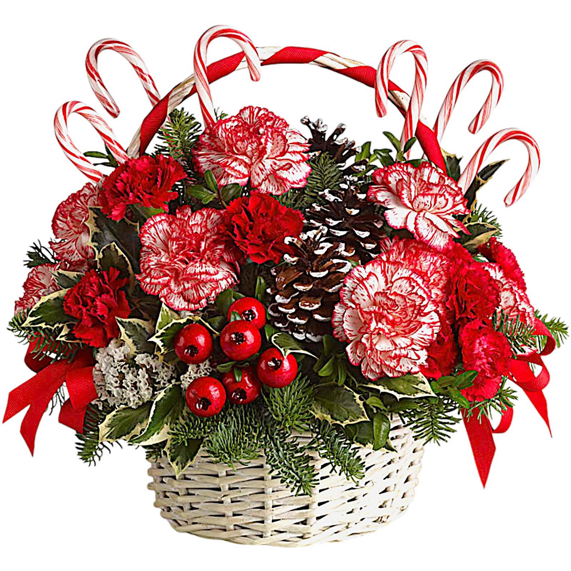 Red and white carnations in a wicker basket with candy canes and pinecones