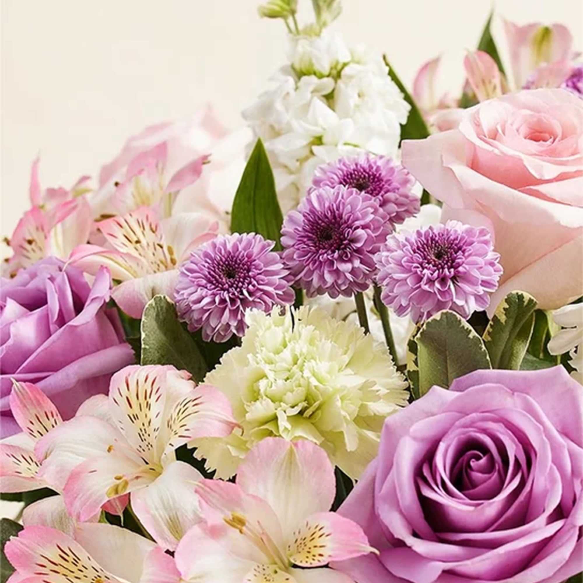 Bouquet of pink and purple roses with white and lavender flowers