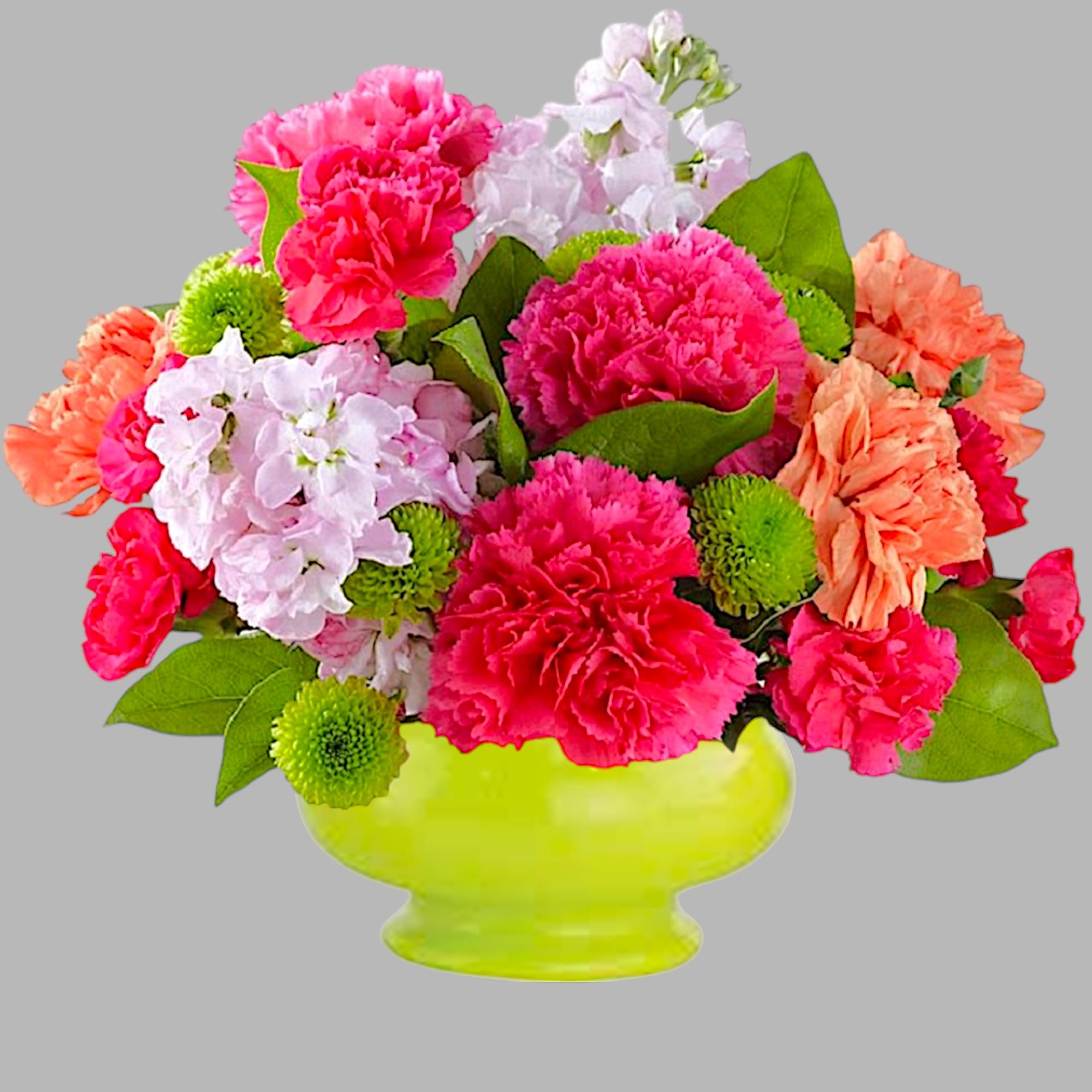 Bright mixed bouquet of carnations and pom-pom flowers in a lime green vase
