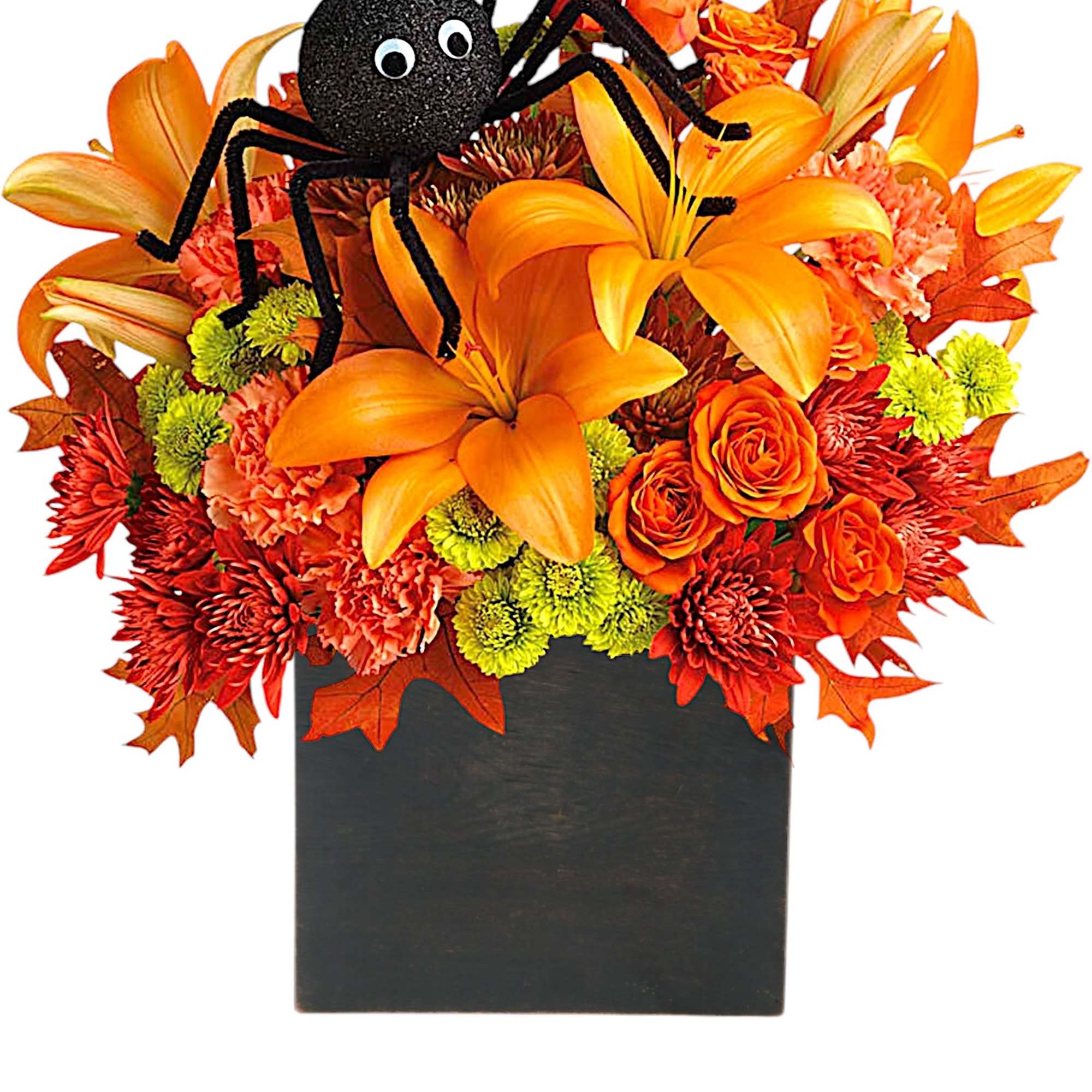 A big black spider creeps your way to wish you a Happy