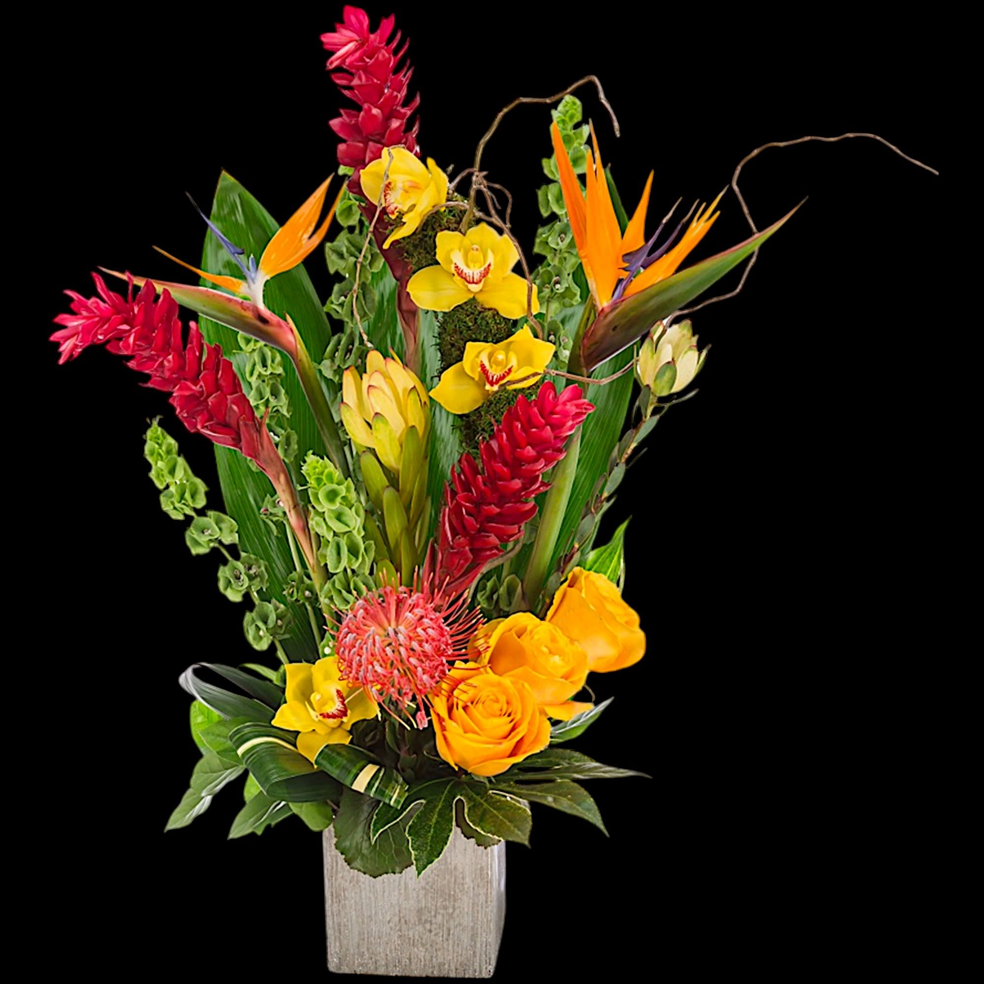 With a tropical beauty all its own, our tropical arrangement brightens every, photo 4 of 5
