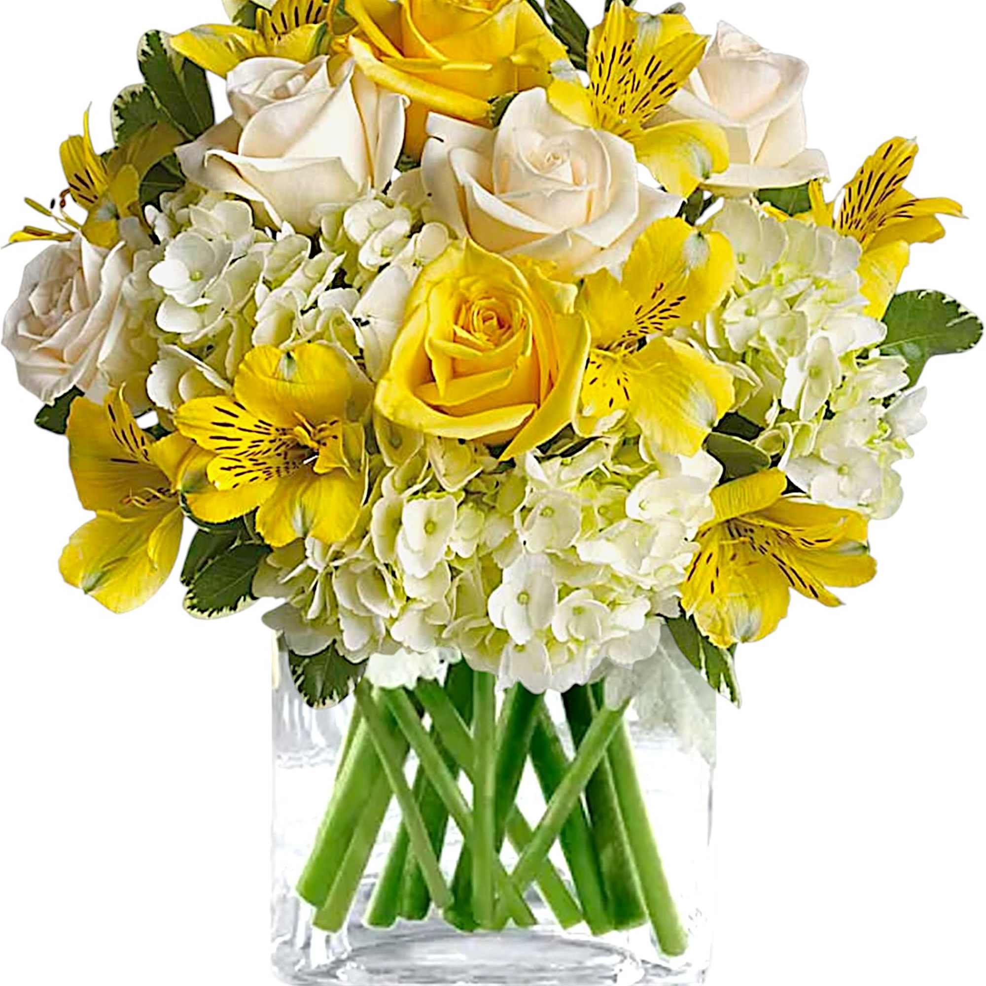 Yellow and white roses with white hydrangeas in a clear glass vase