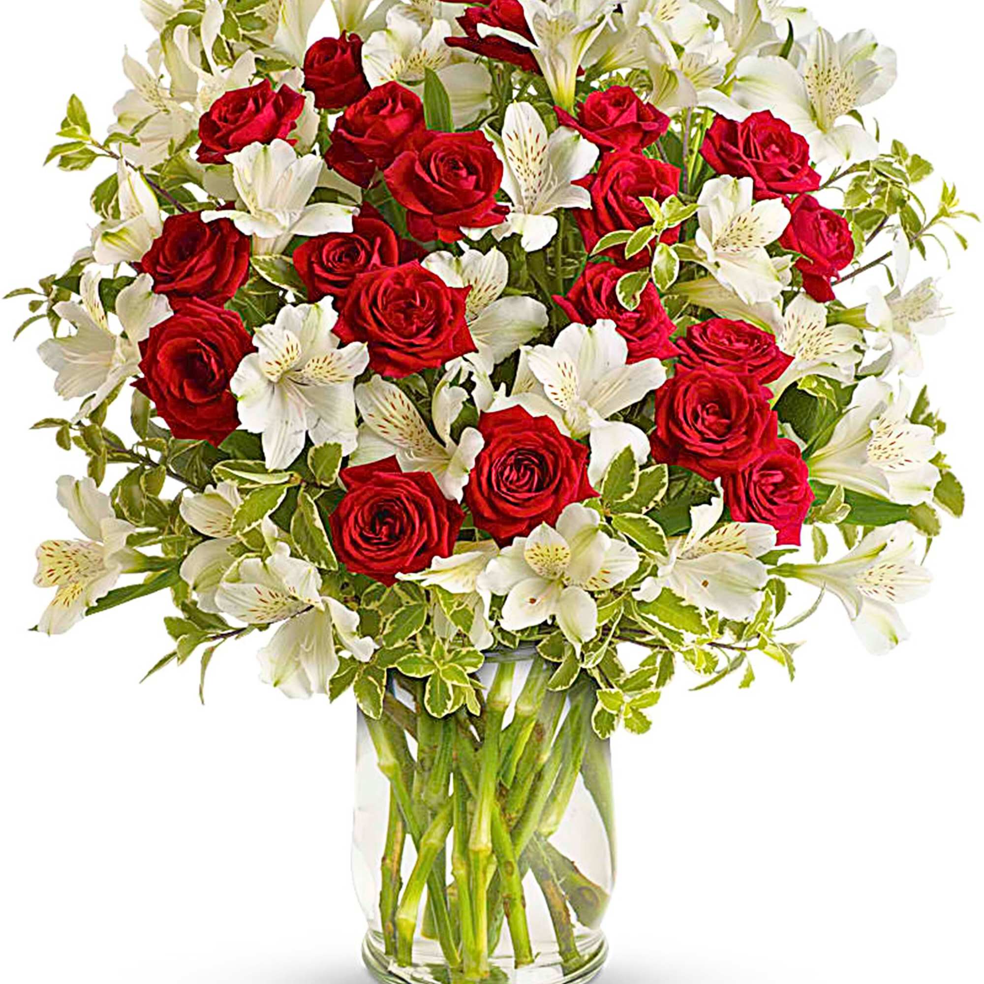 Red roses and white alstroemeria in a clear glass vase