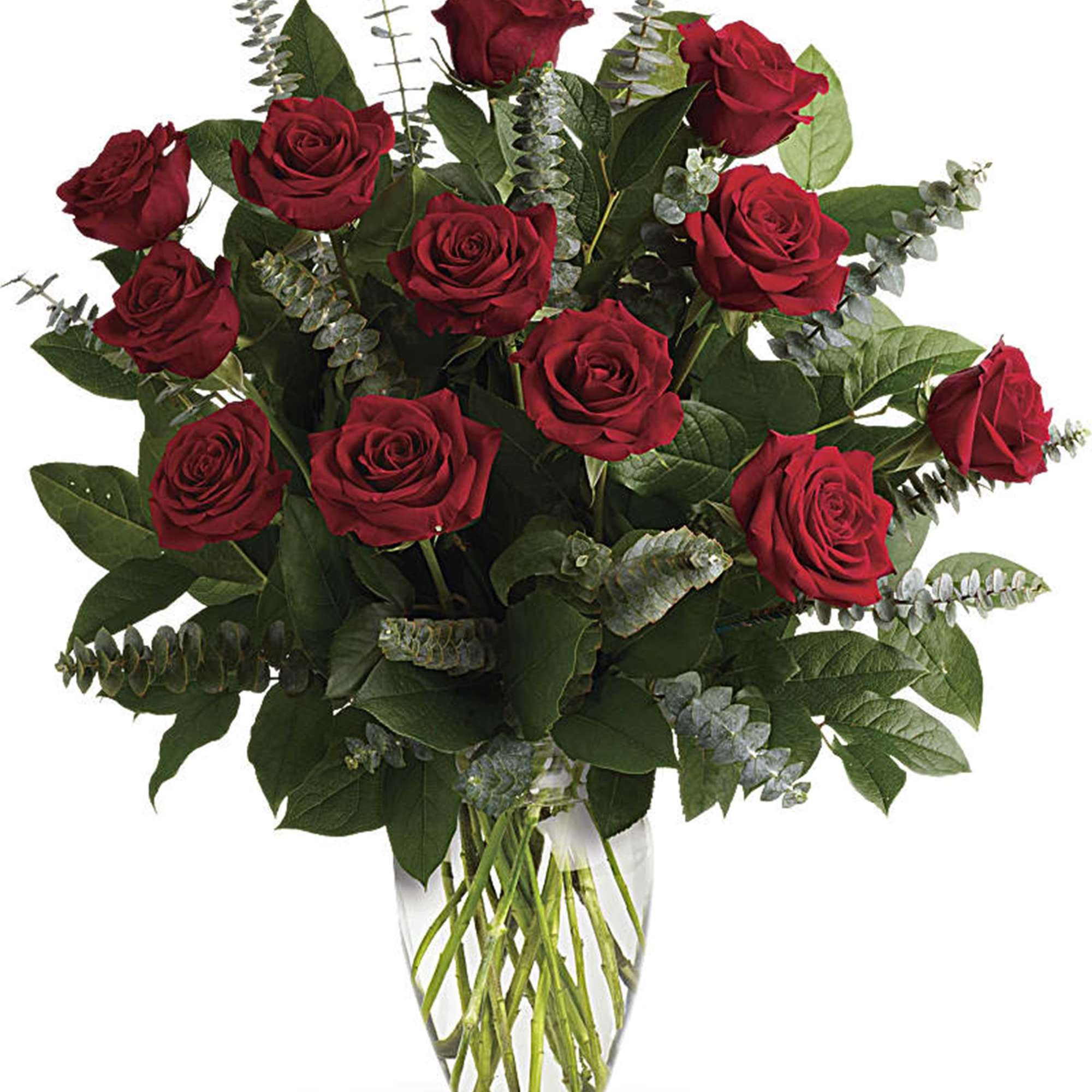 Red roses arranged in a clear glass vase with eucalyptus