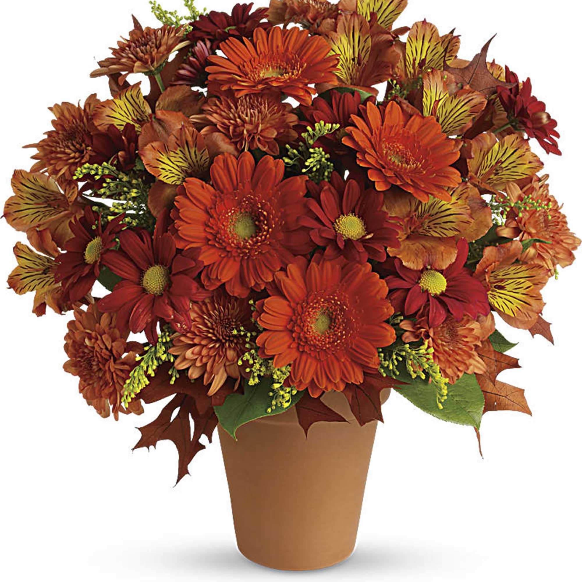 Orange and red mixed bouquet in a terracotta pot