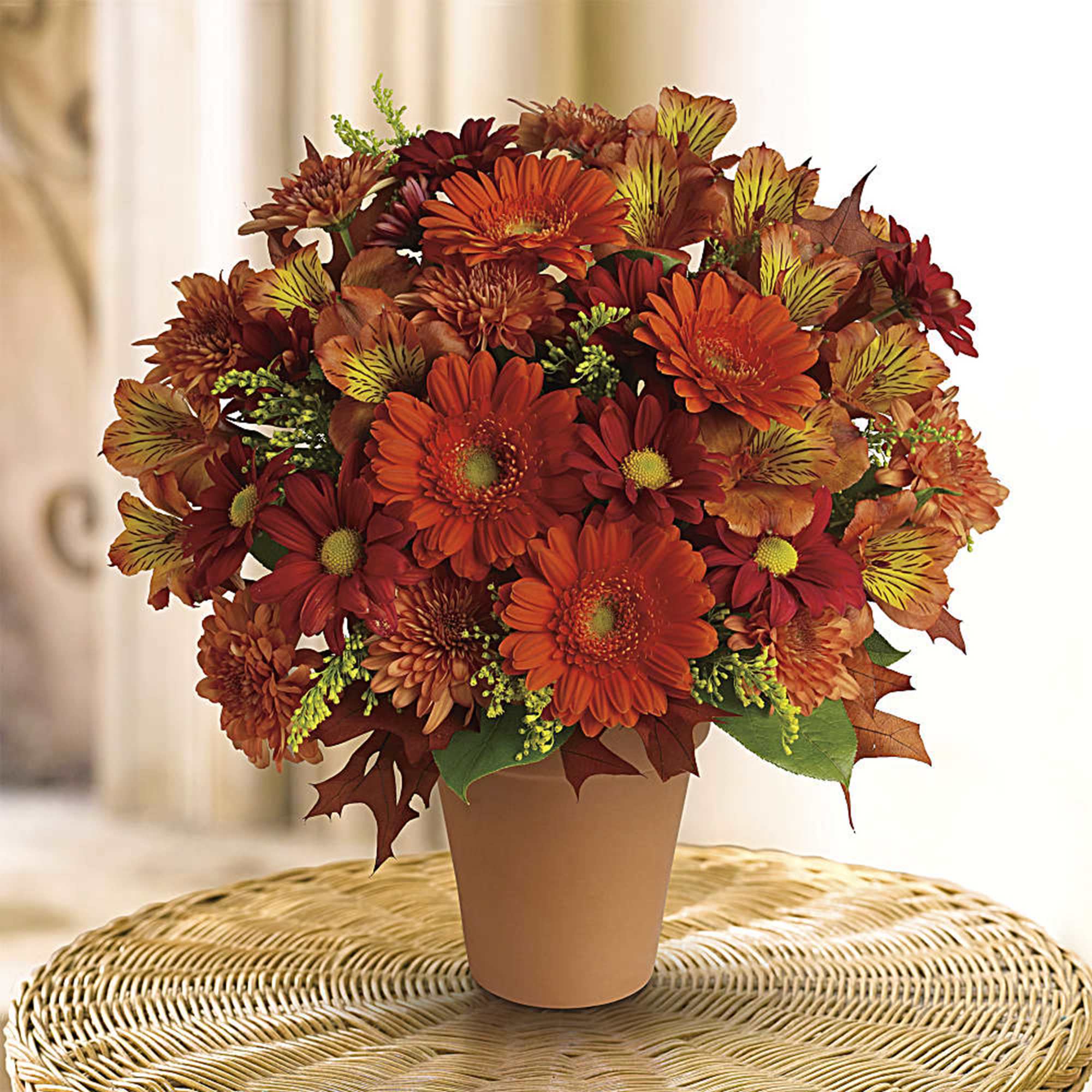 Orange and red daisy bouquet in a tan pot