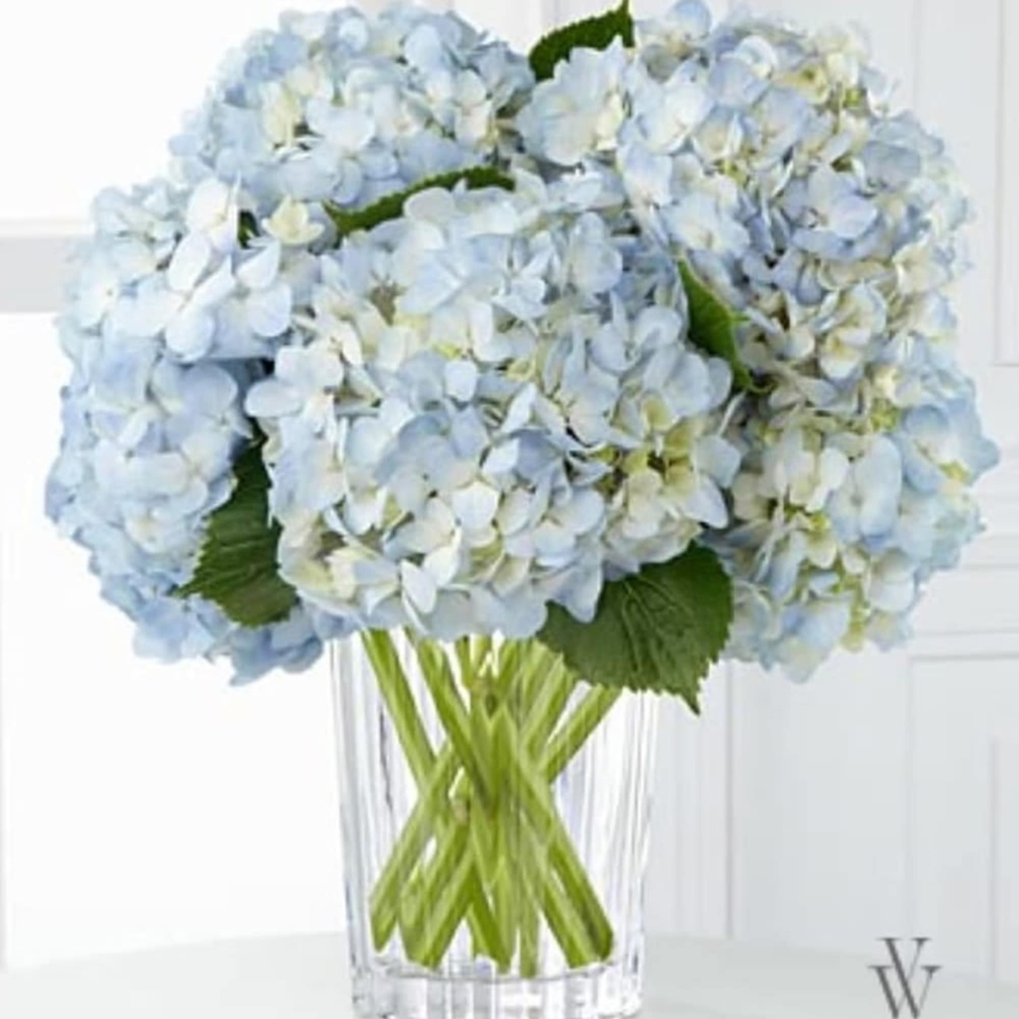 Blue hydrangea bouquet in a clear glass vase, photo 2 of 2