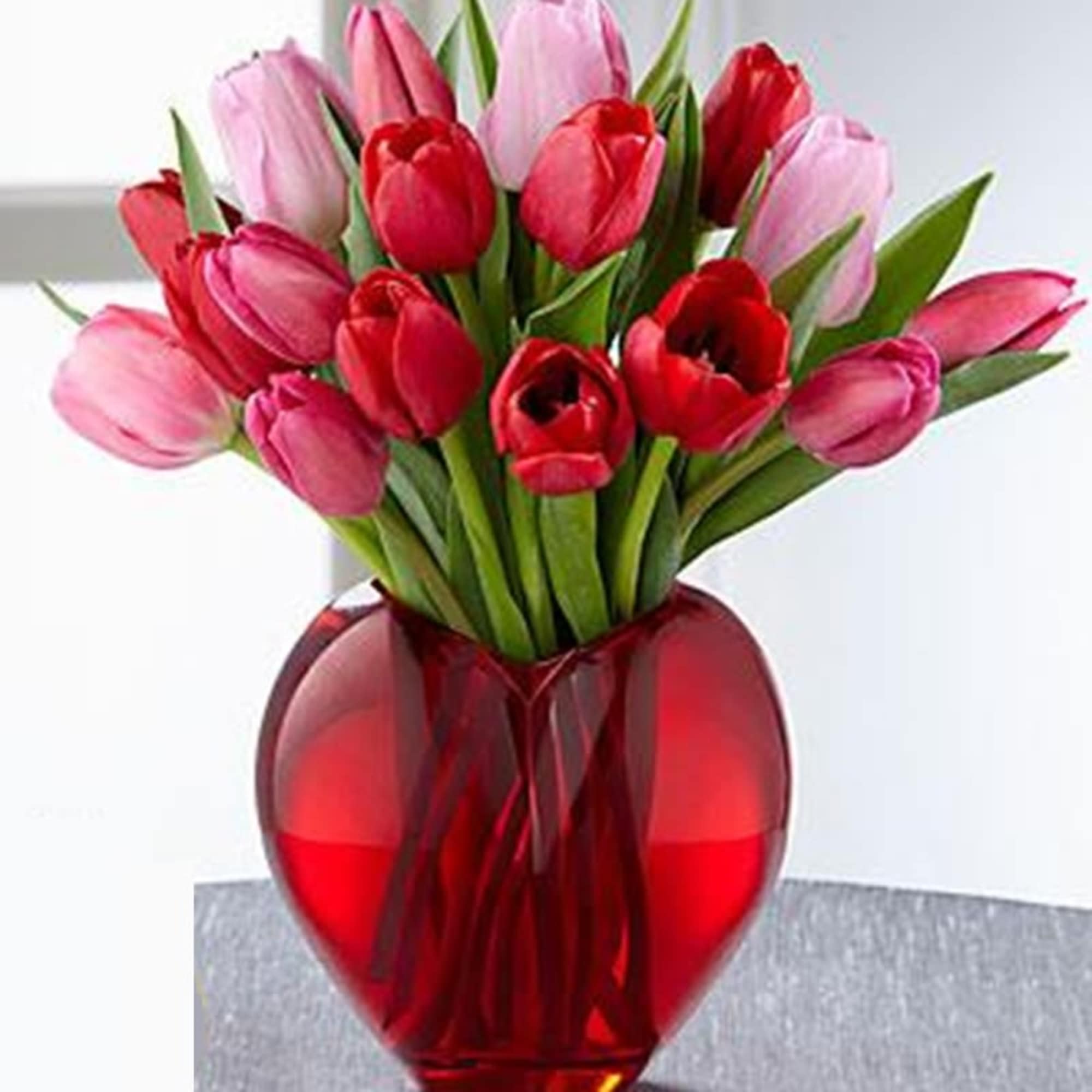 Pink and red tulips in a red glass vase
