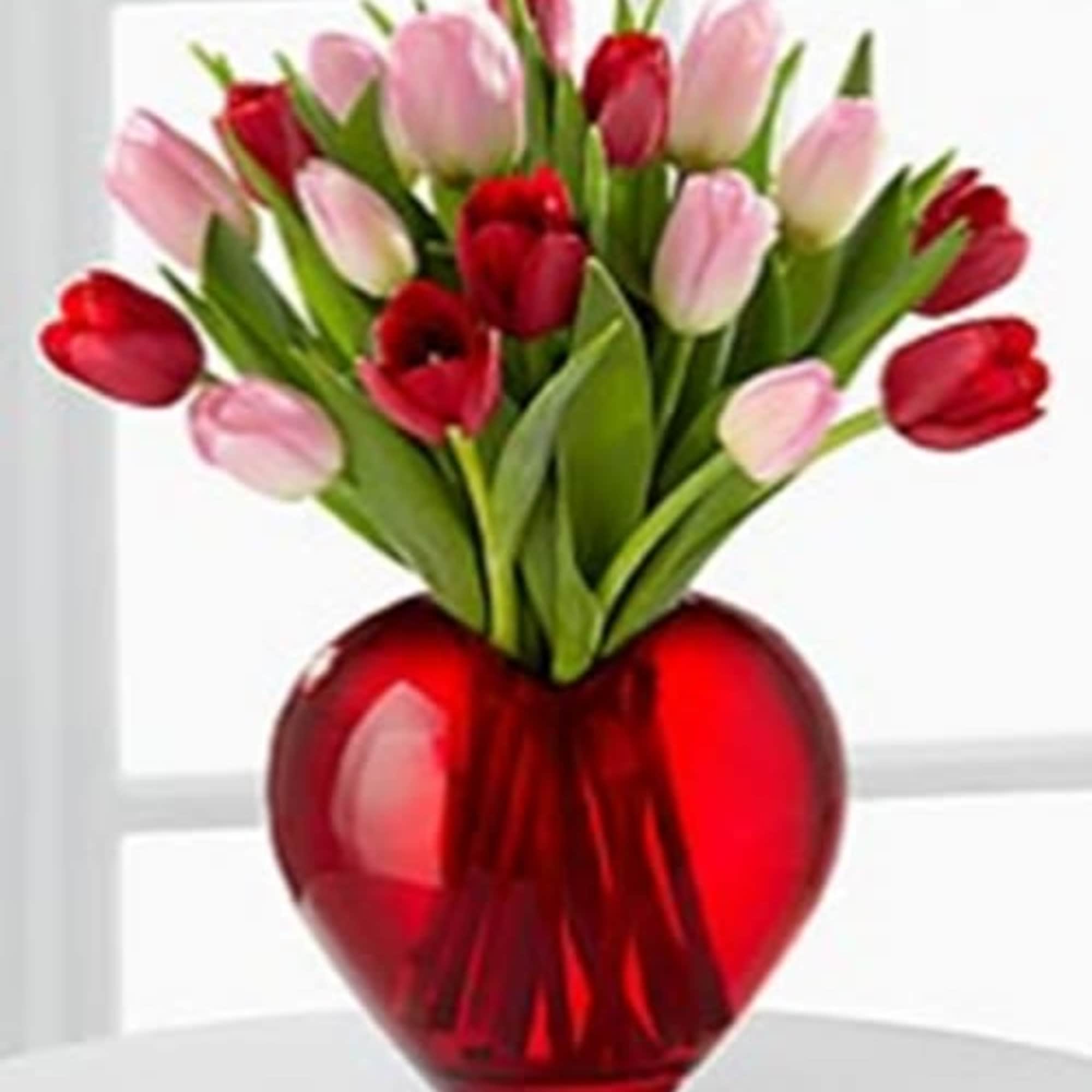 Pink and red tulips in a red heart-shaped vase