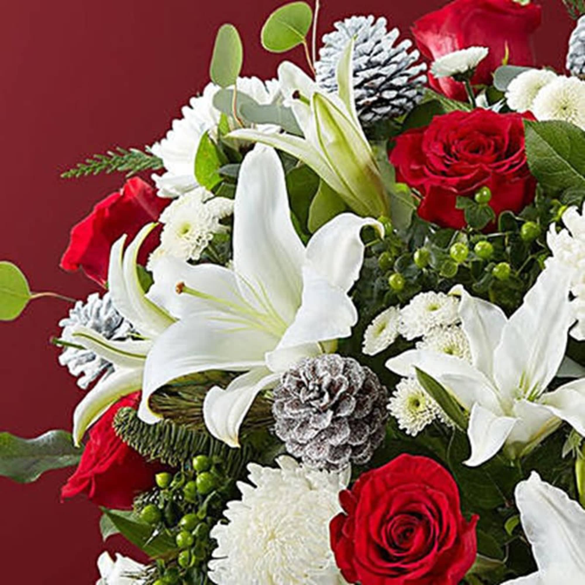 Bouquet of red roses and white lilies with pinecones on a burgundy background
