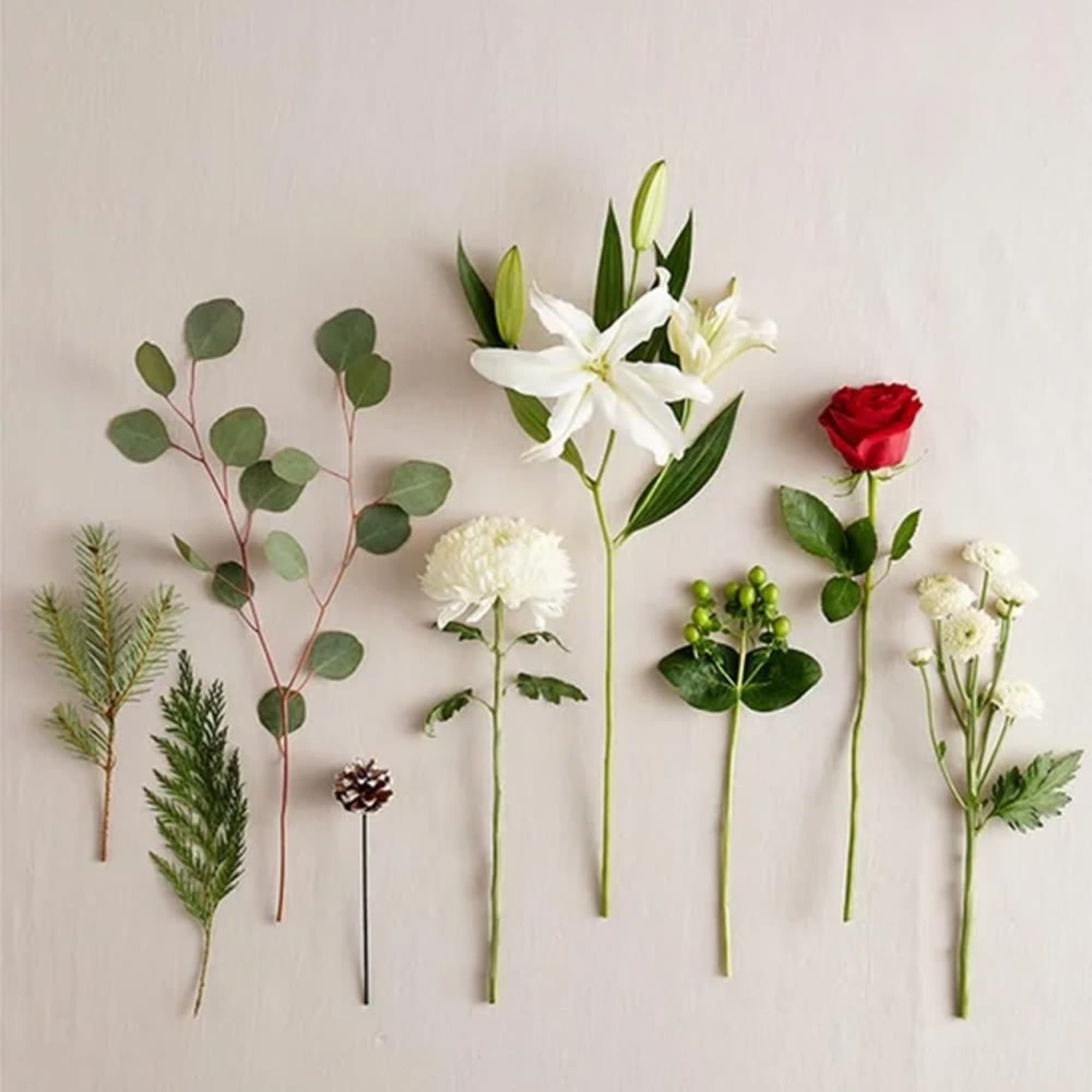 Assorted flower stems and greenery laid out on a plain background