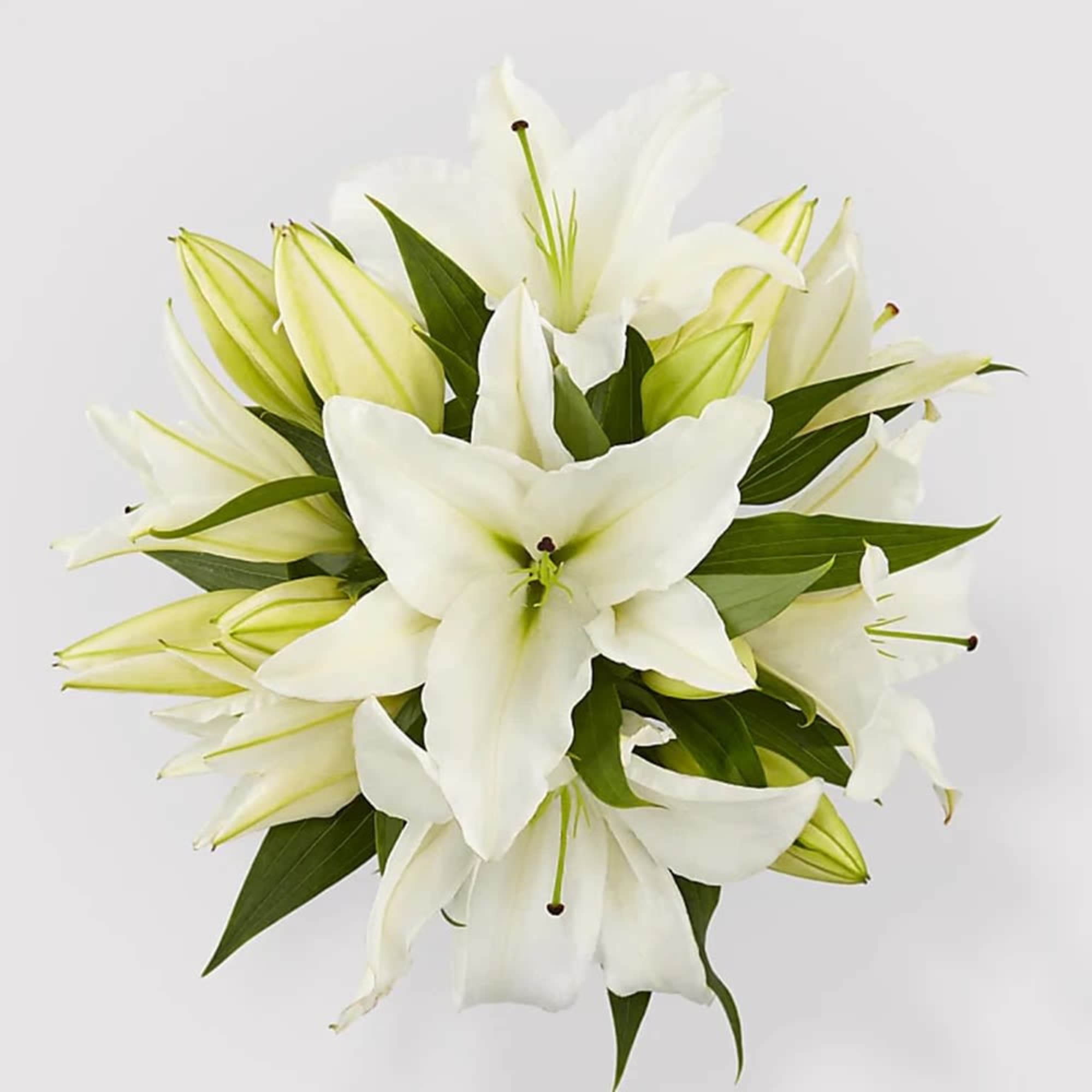 Bouquet of white lilies with green buds