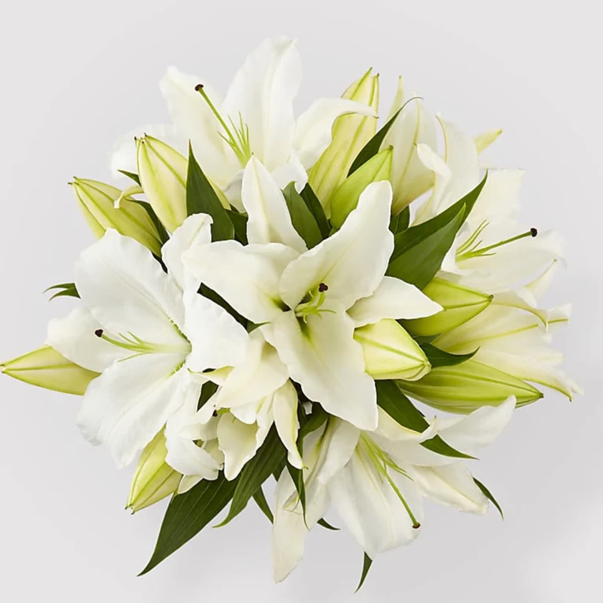 Bouquet of white lilies with green buds