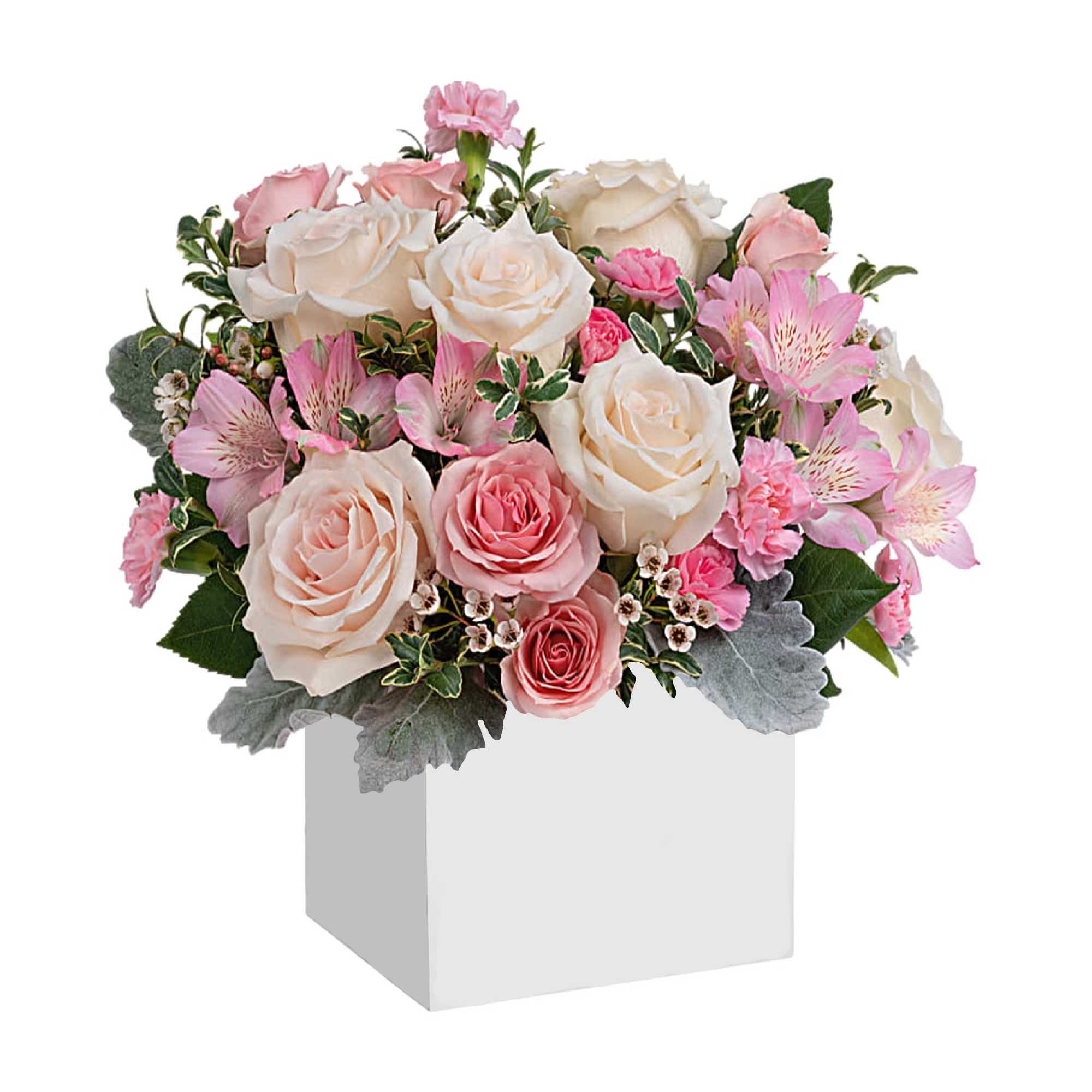 Pink and white roses with pink alstroemeria in a white box