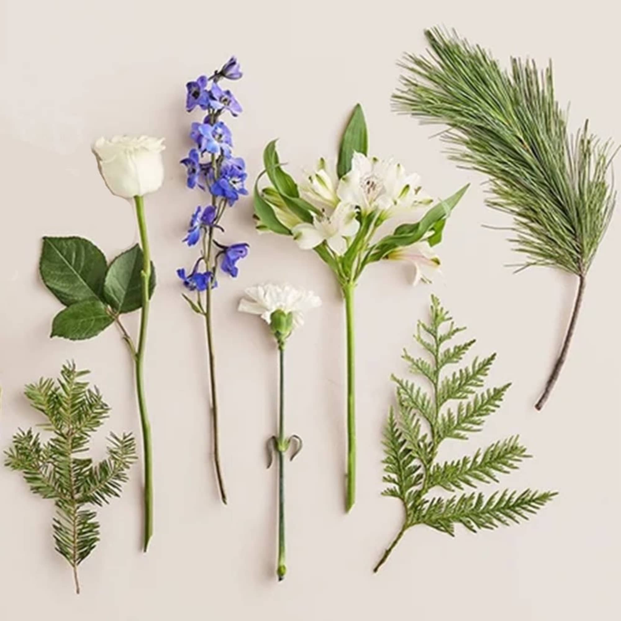Assorted flower stems and greenery laid out on a light background