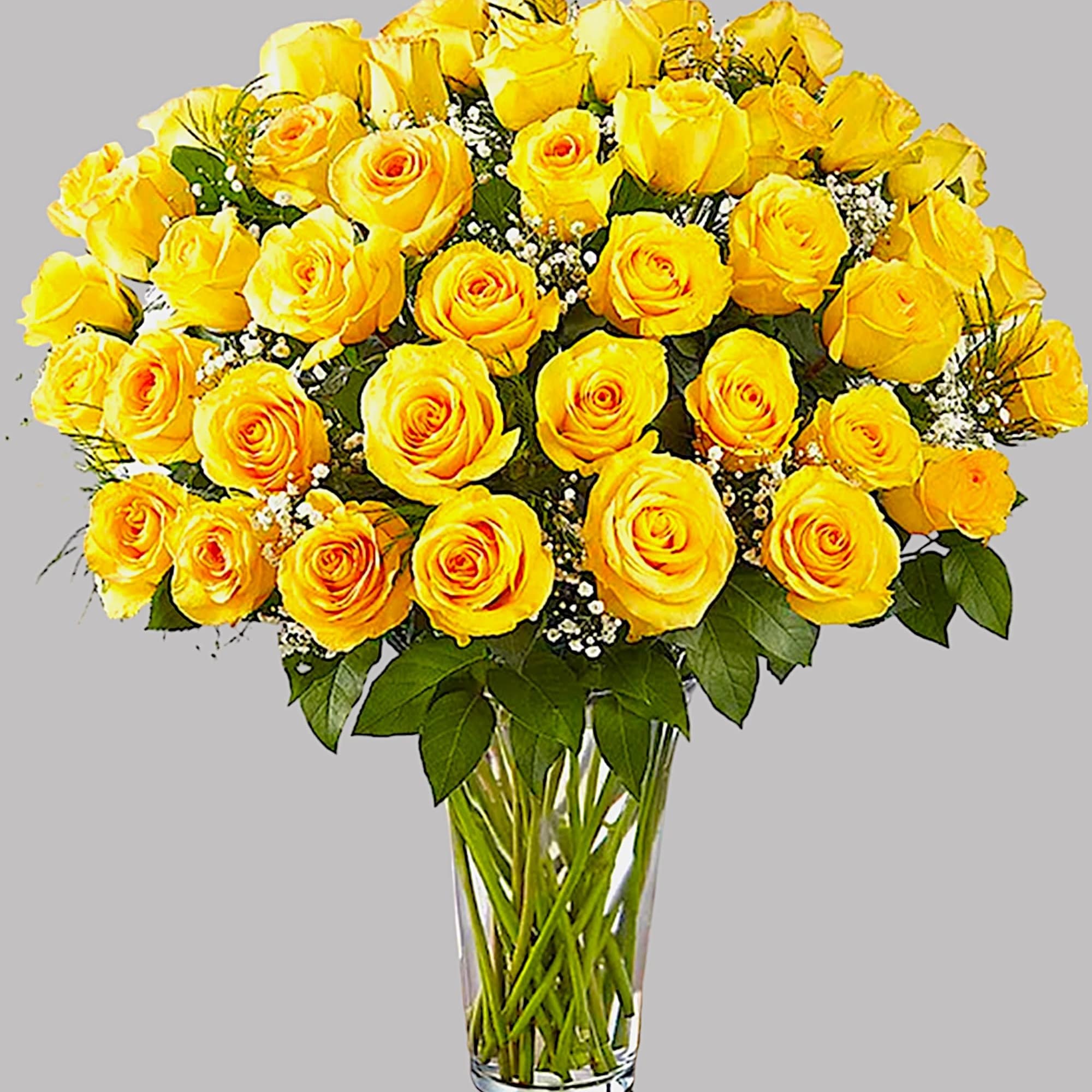Yellow roses arranged in a clear glass vase