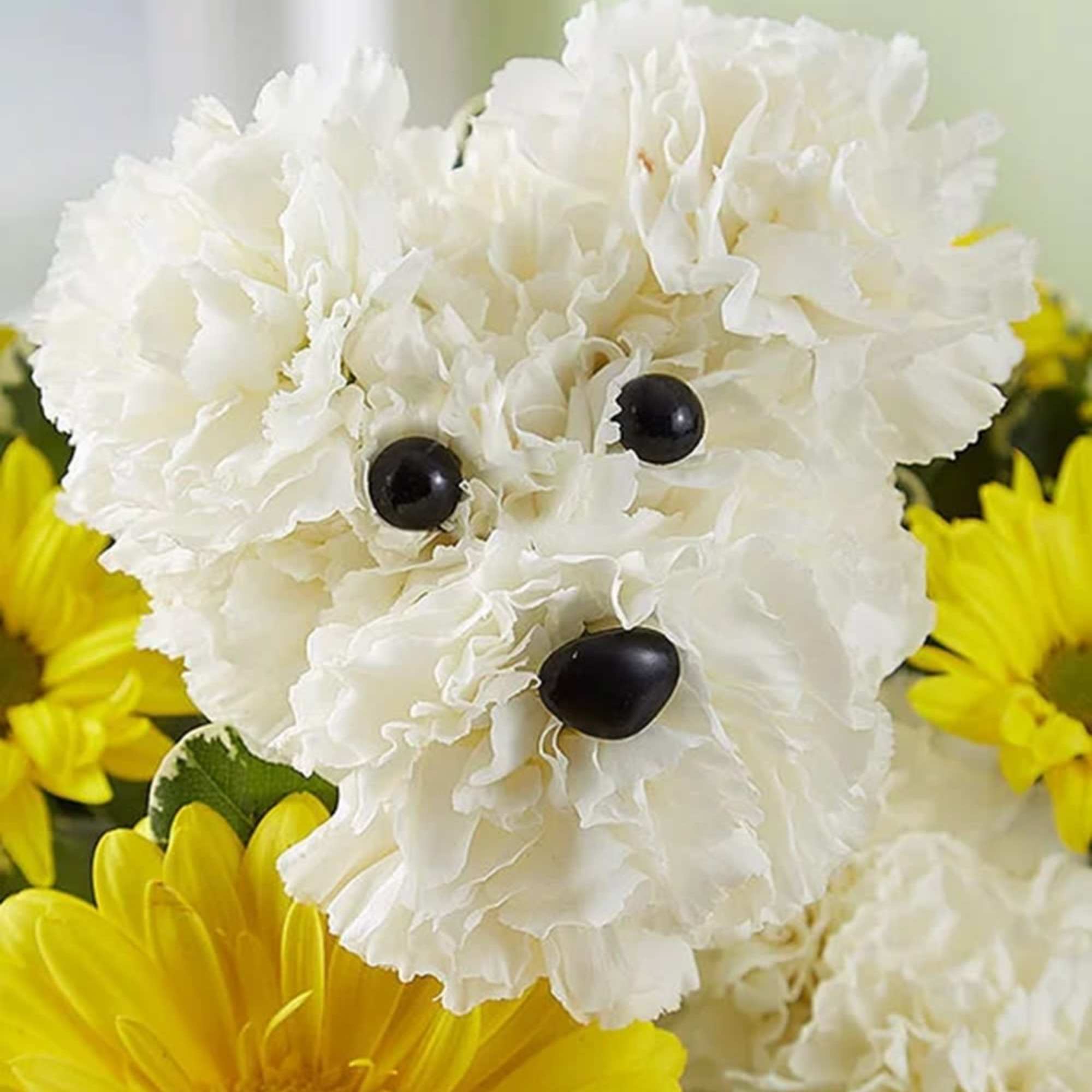 Our 3D flower pup is the best pick-me-up for anyone under the