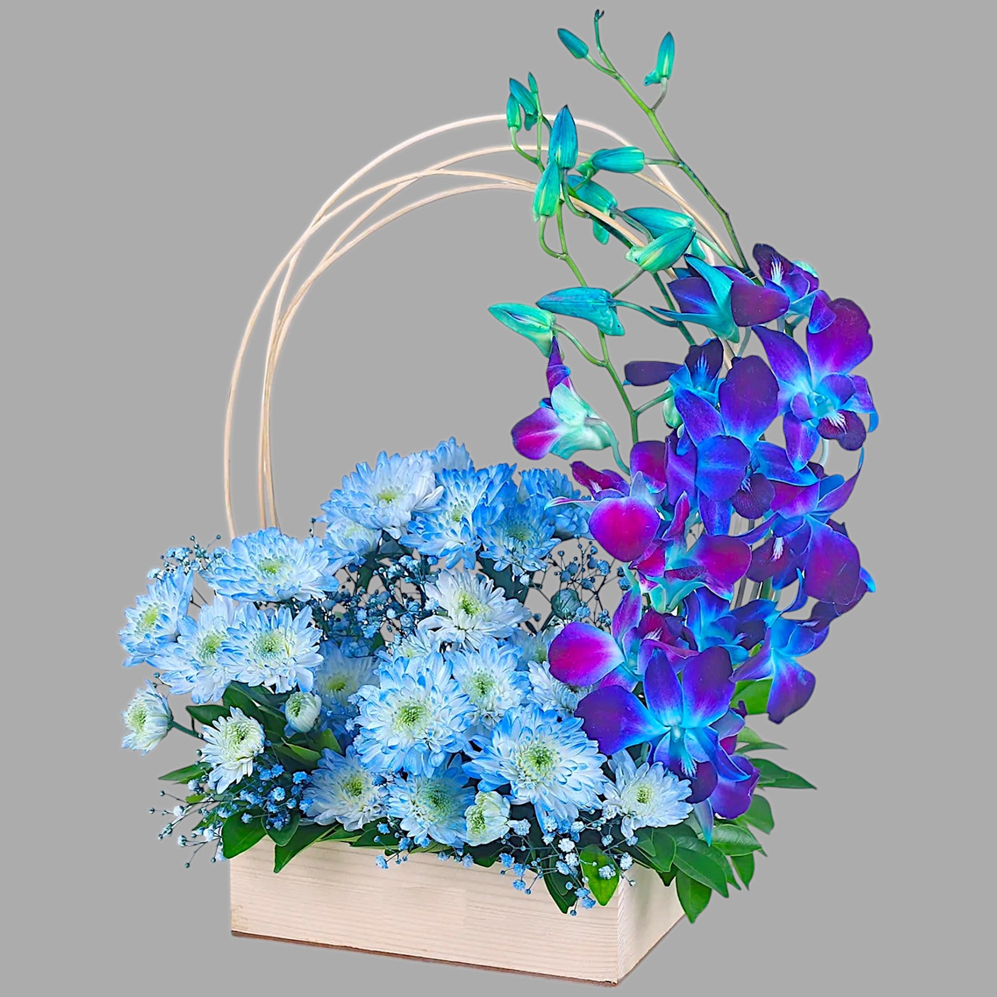 Blue chrysanthemums and purple orchids in a wooden box with arched handles