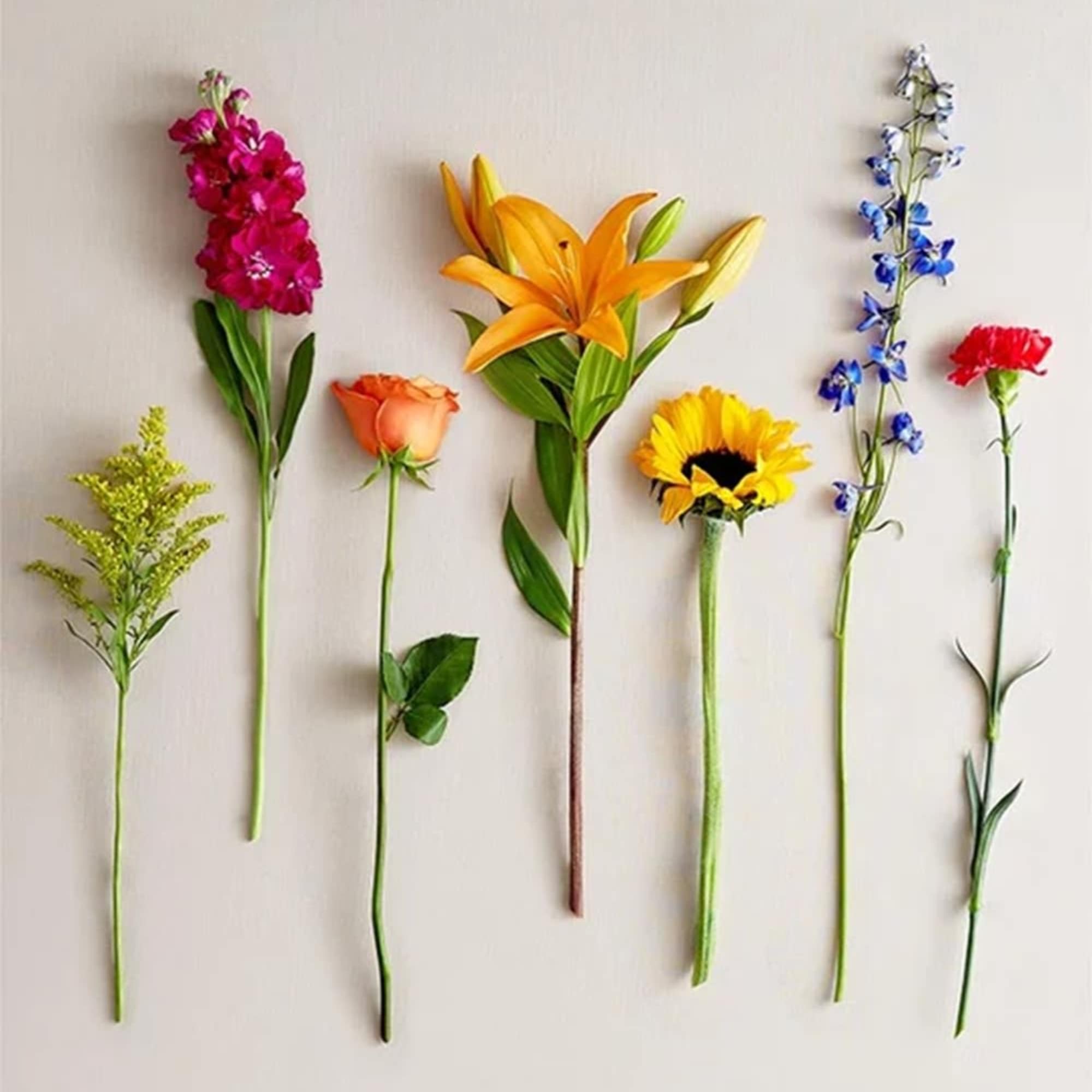 Assorted single-stem flowers arranged in a row on a light background