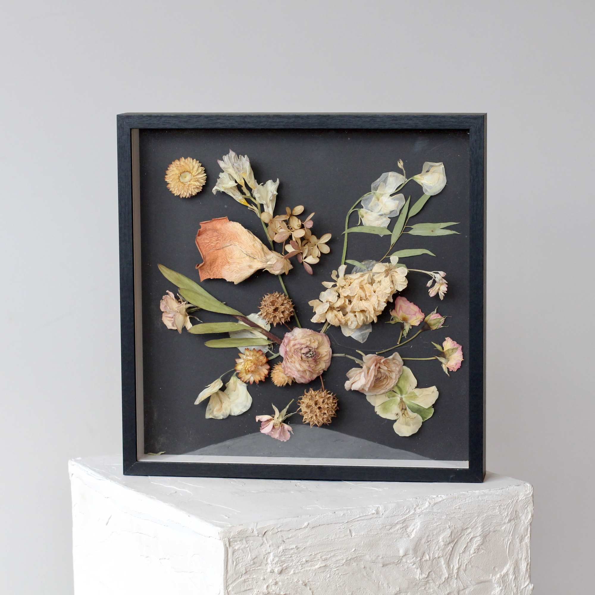 Framed pressed flowers arranged on a black background