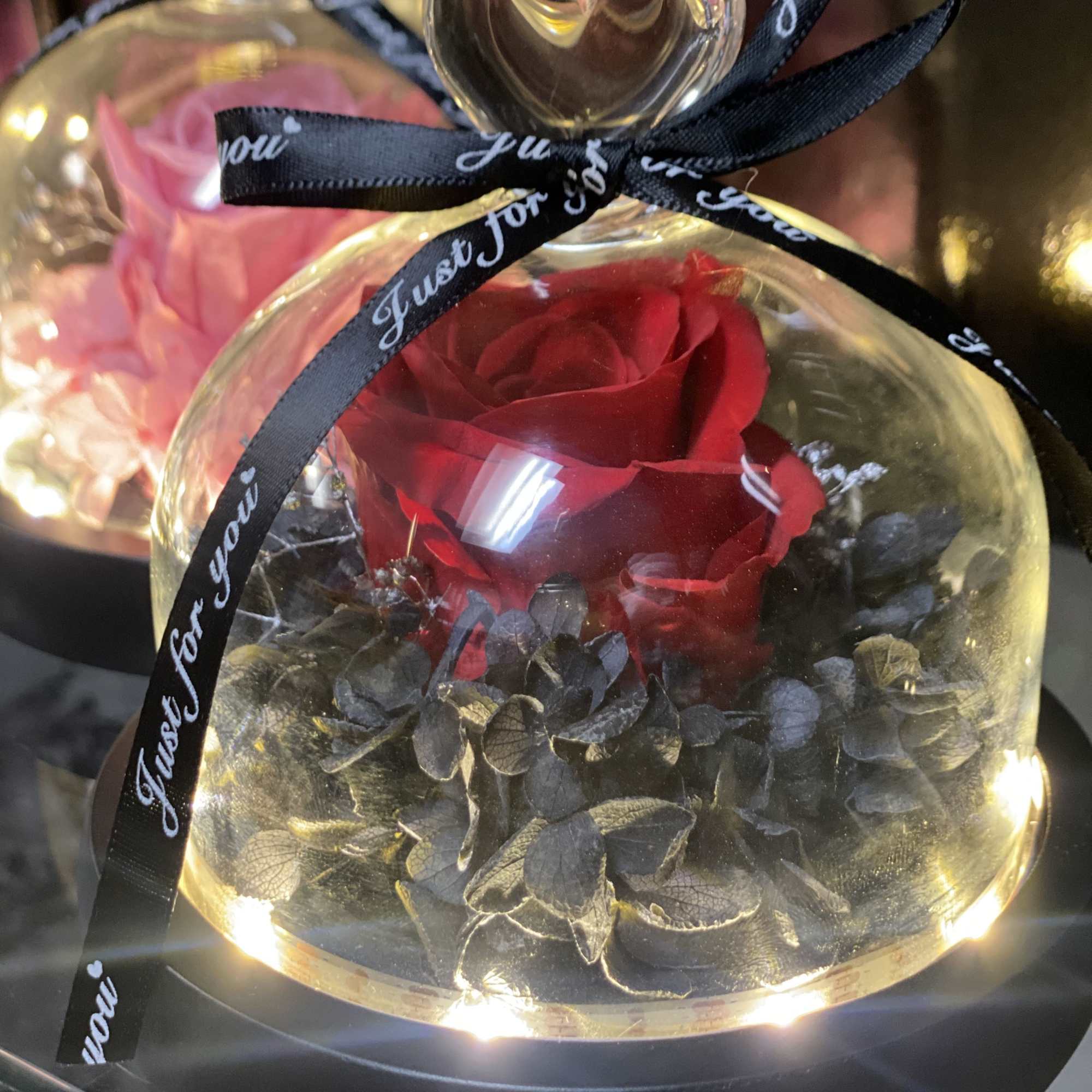 Red rose under a glass dome with a black ribbon bow
