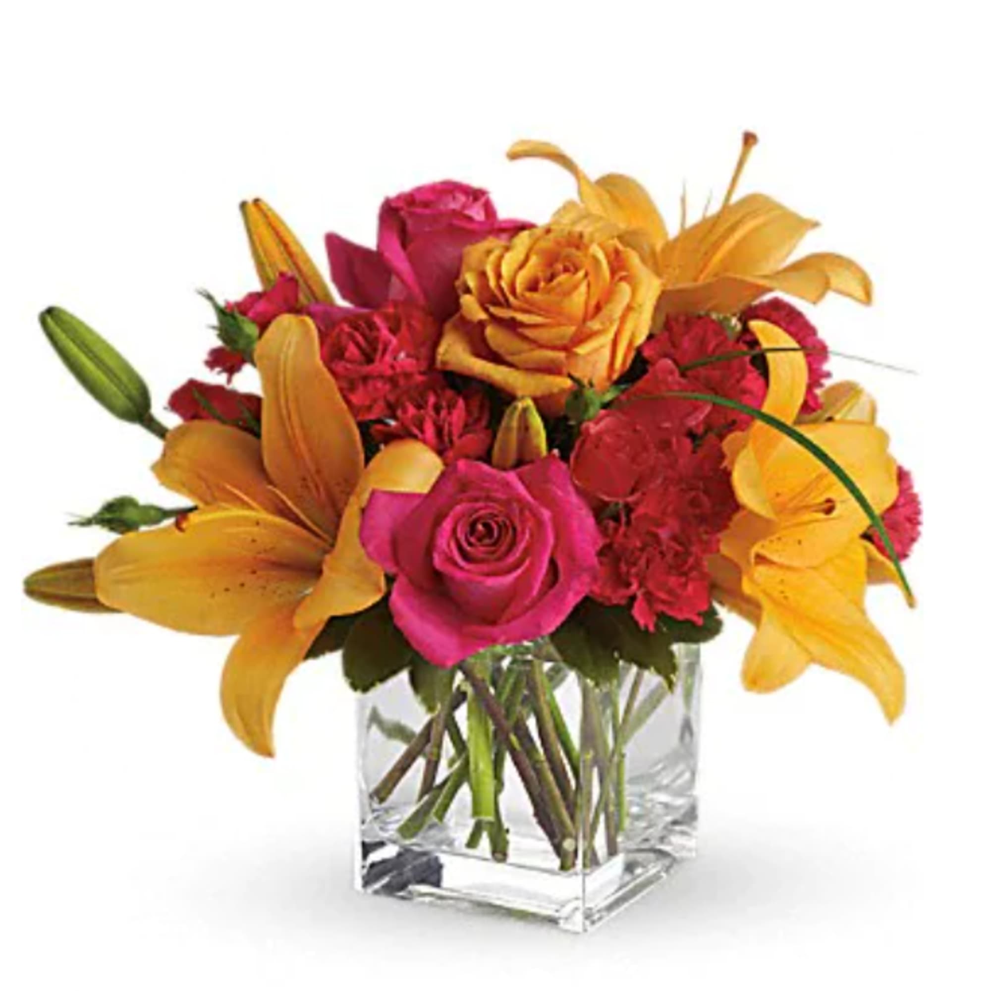 Uniquely beautiful and uniquely bright, this is a bona fide bombshell of