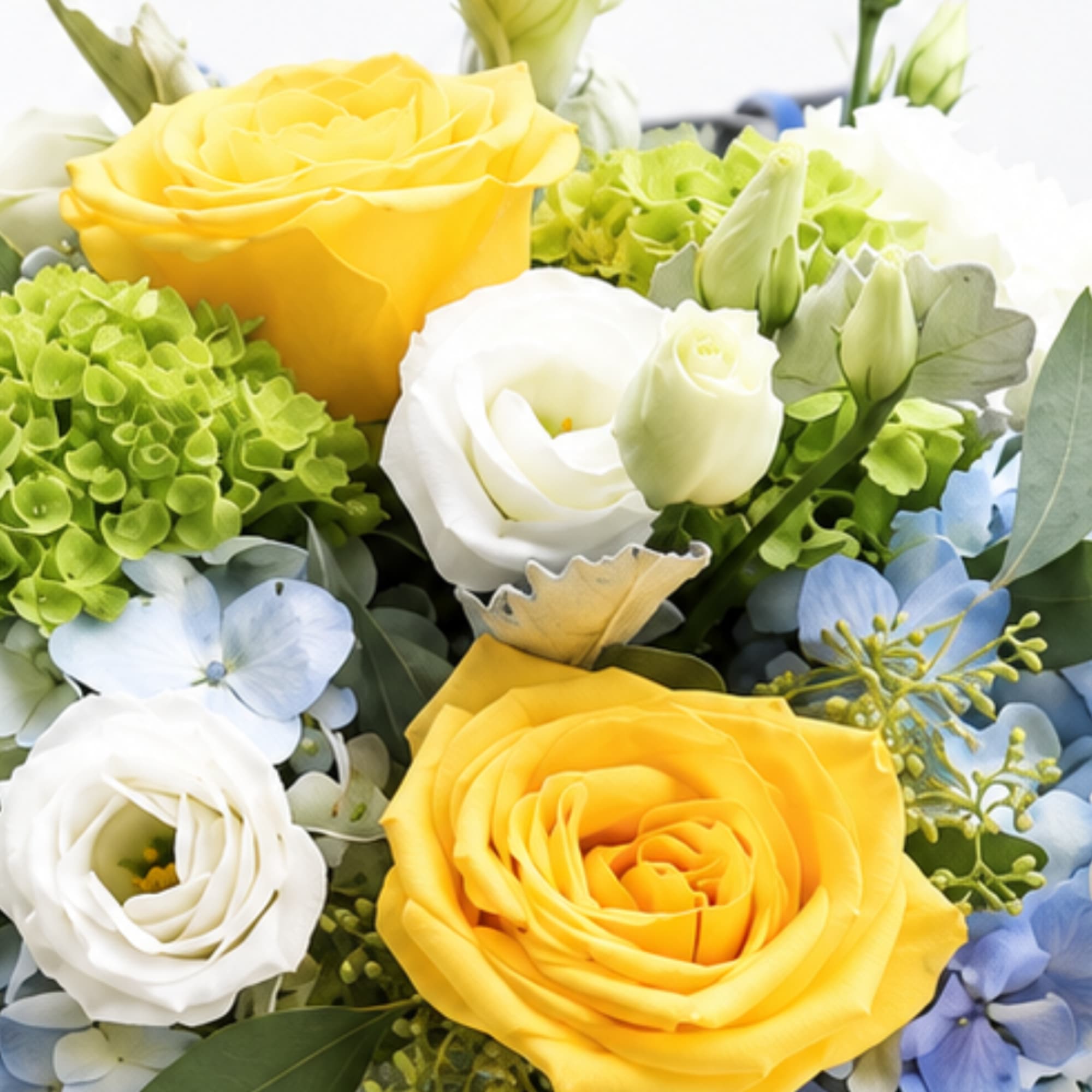 Yellow and white roses with blue hydrangea in a close-up bouquet
