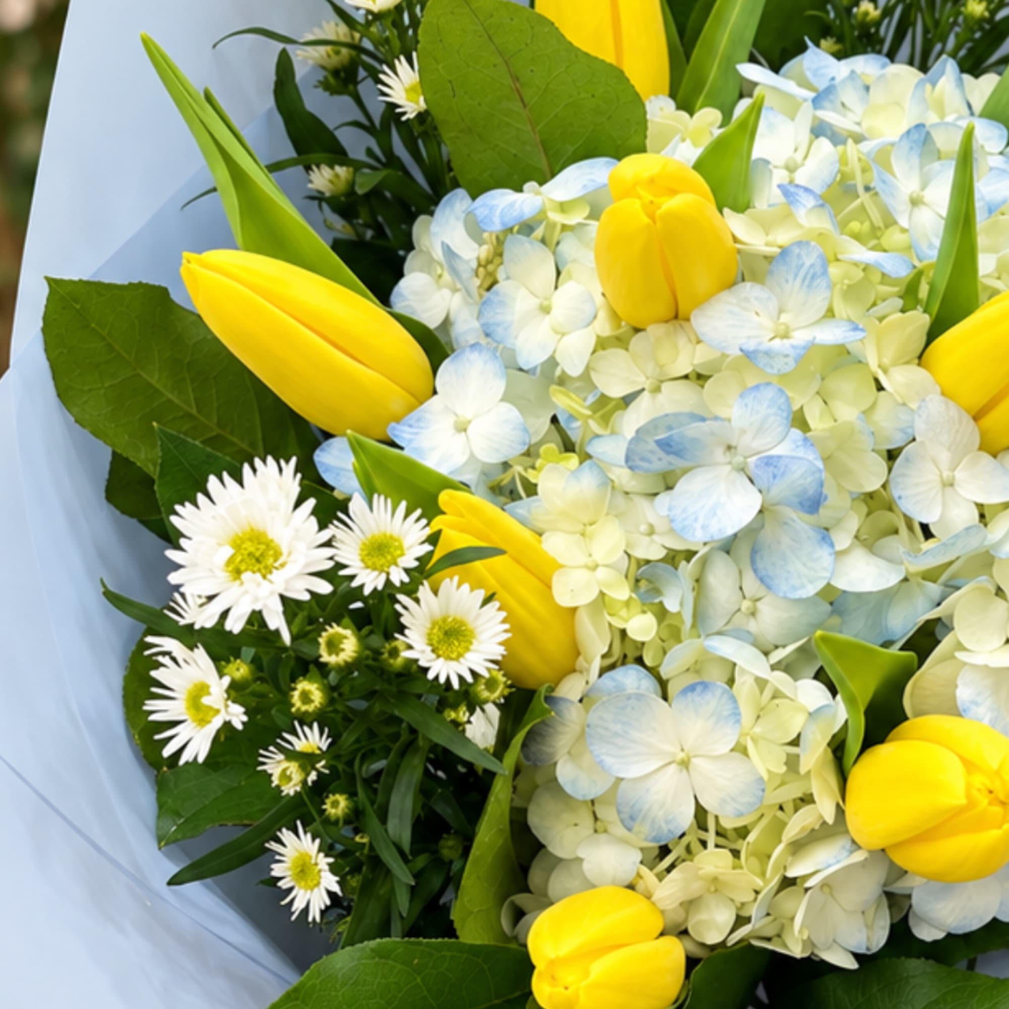 Bouquet of yellow tulips and pale blue hydrangeas with white daisies, photo 2 of 3