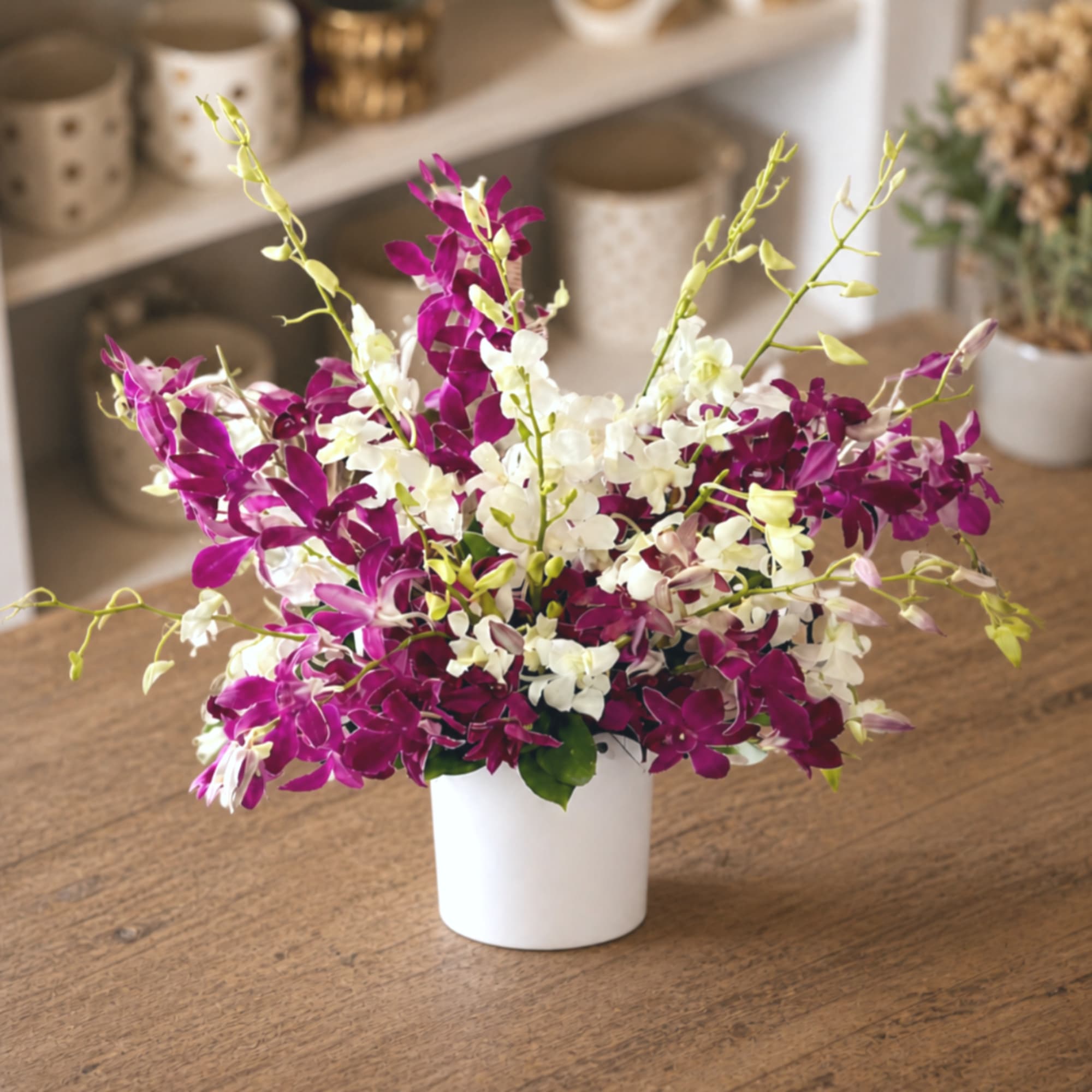 Purple and white orchid arrangement in a white pot