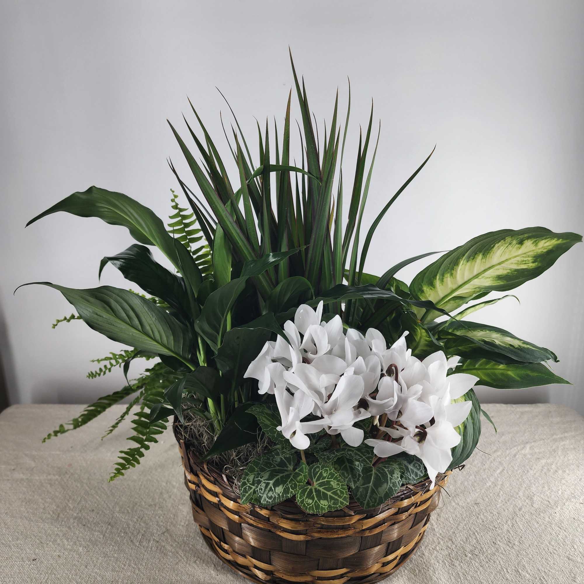 White flowers and assorted green plants in a woven basket