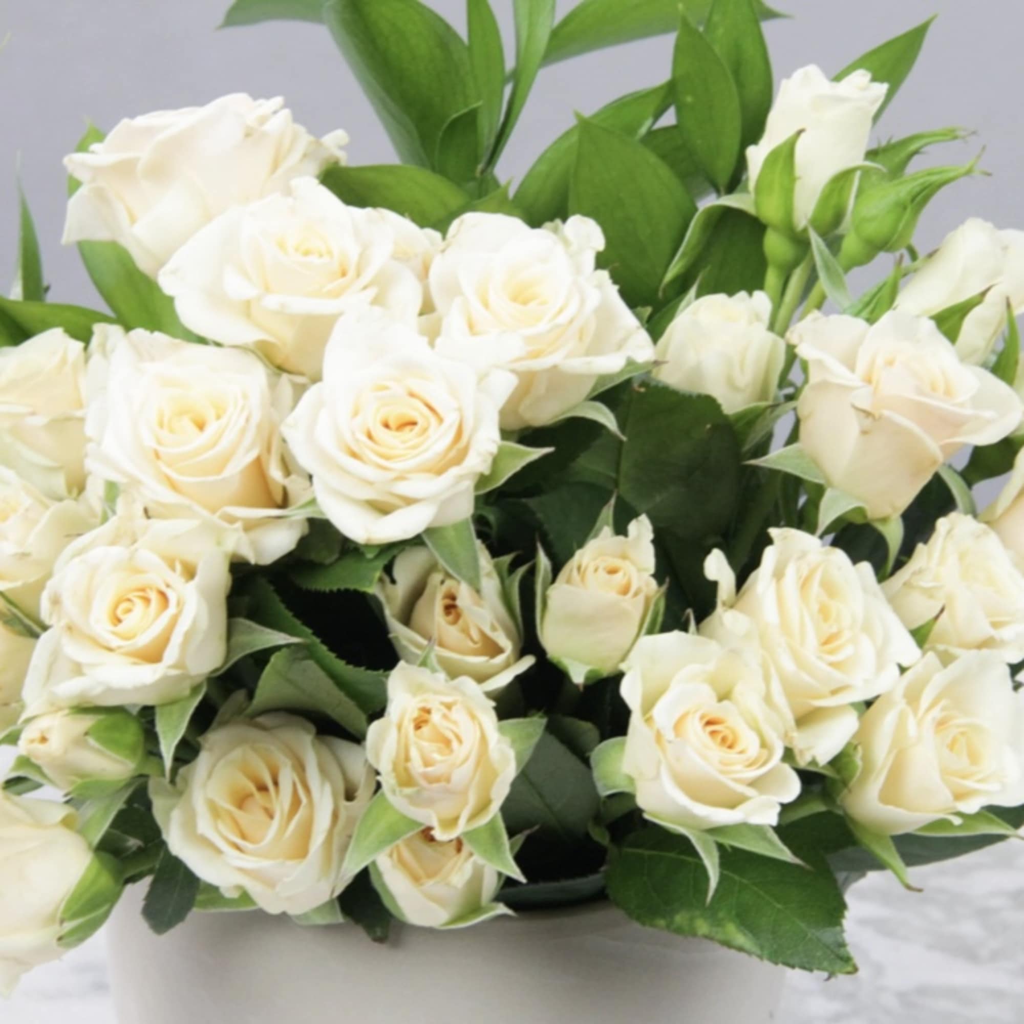 Bouquet of cream roses in a white container