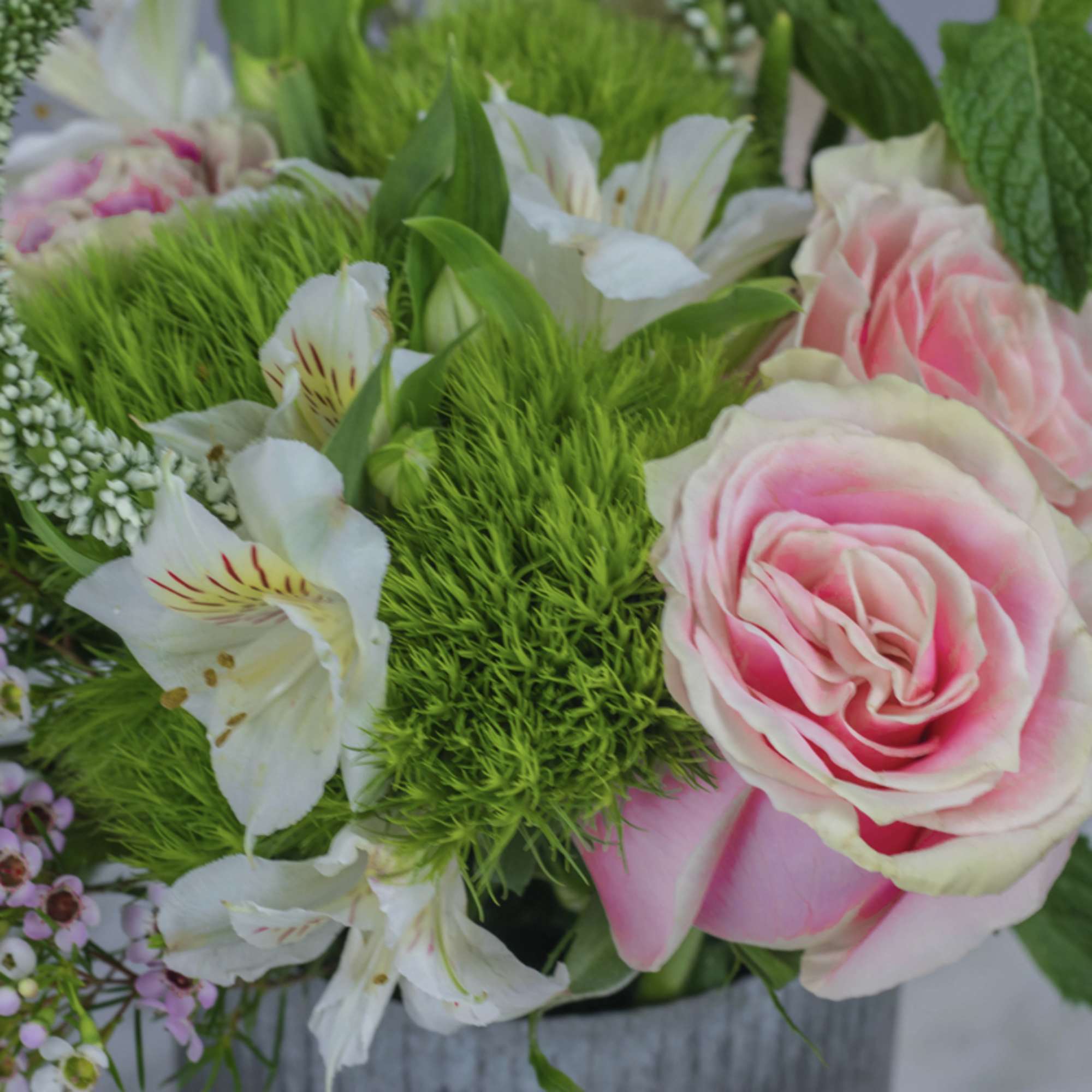 Pink roses and white lilies in a gray container