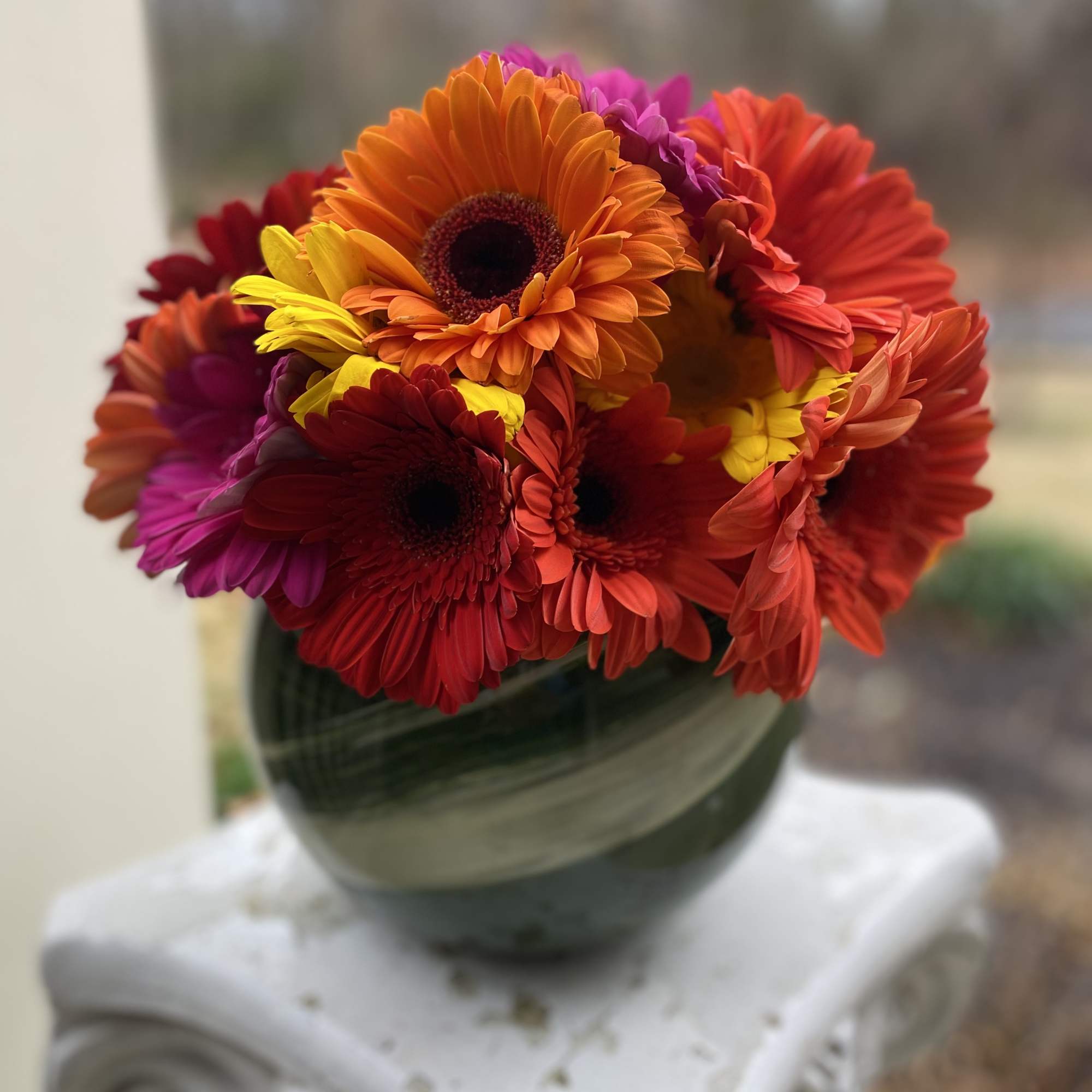 Bouquet of colorful gerbera daisies in a glass vase